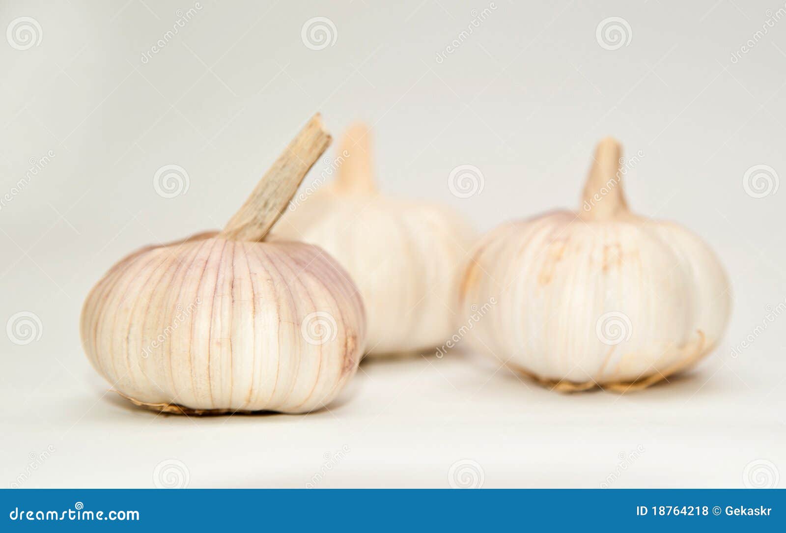 Garlic Bulbs stock photo. Image of condiment, bulb, kitchen 18764218