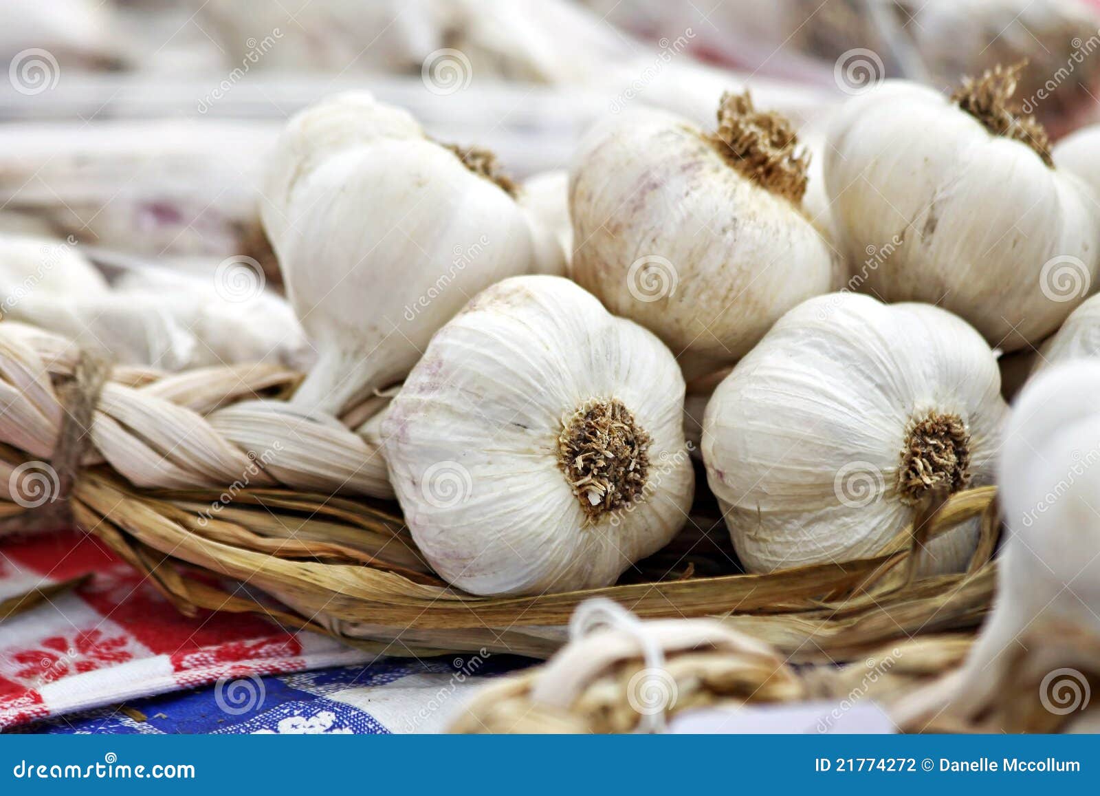 Garlic Bulbs stock photo. Image of head, ingredient, aroma 21774272