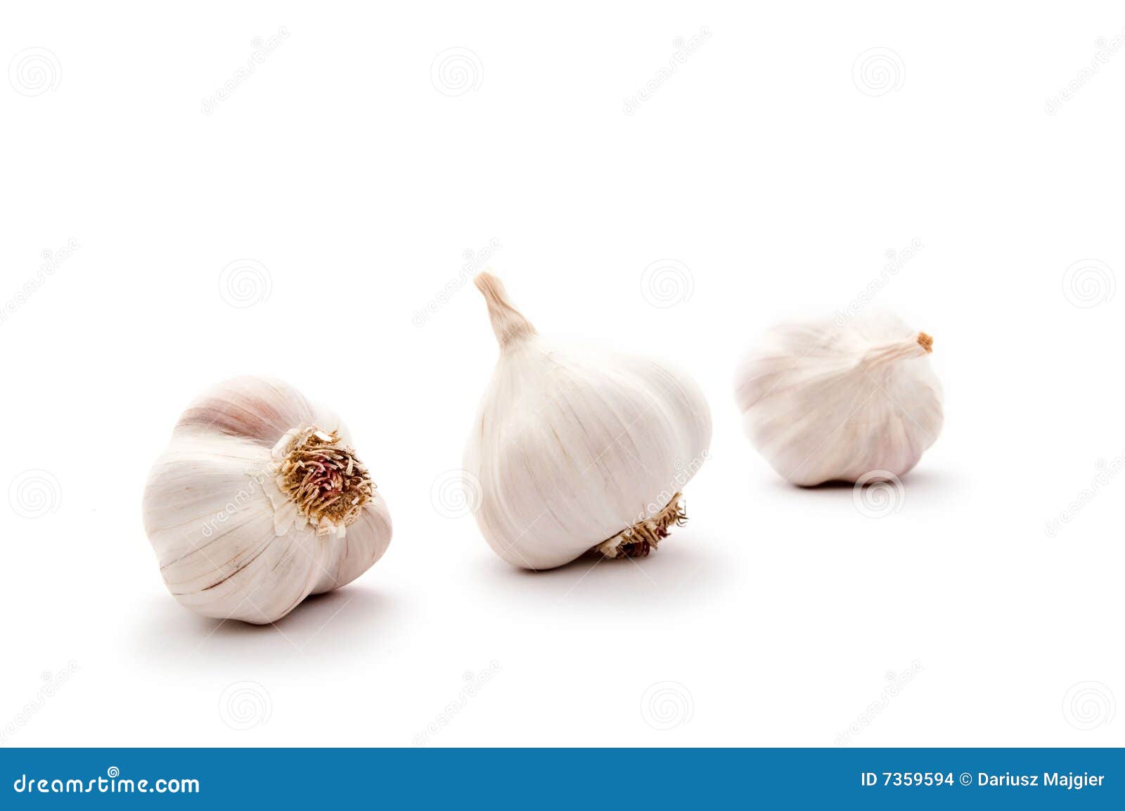 Garlic bulbs stock photo. Image of health, garlics, flavour 7359594