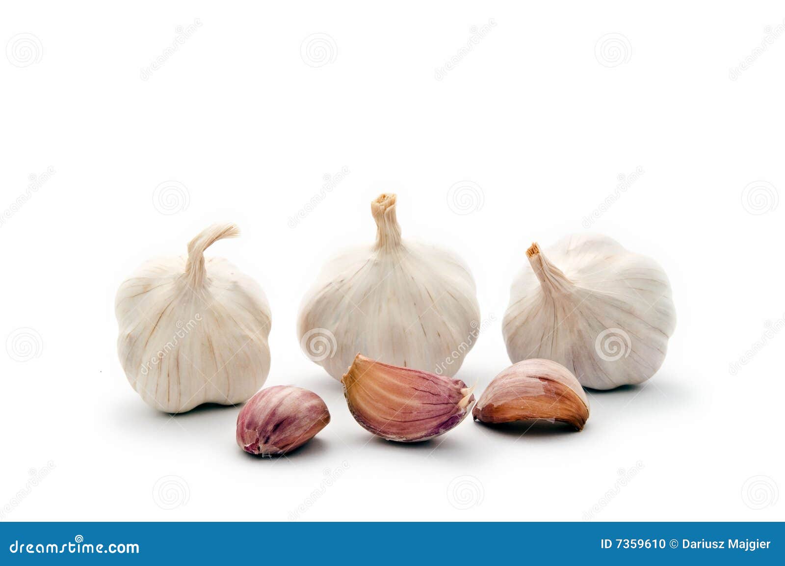 Garlic bulbs with cloves stock photo. Image of alliaceae 7359610