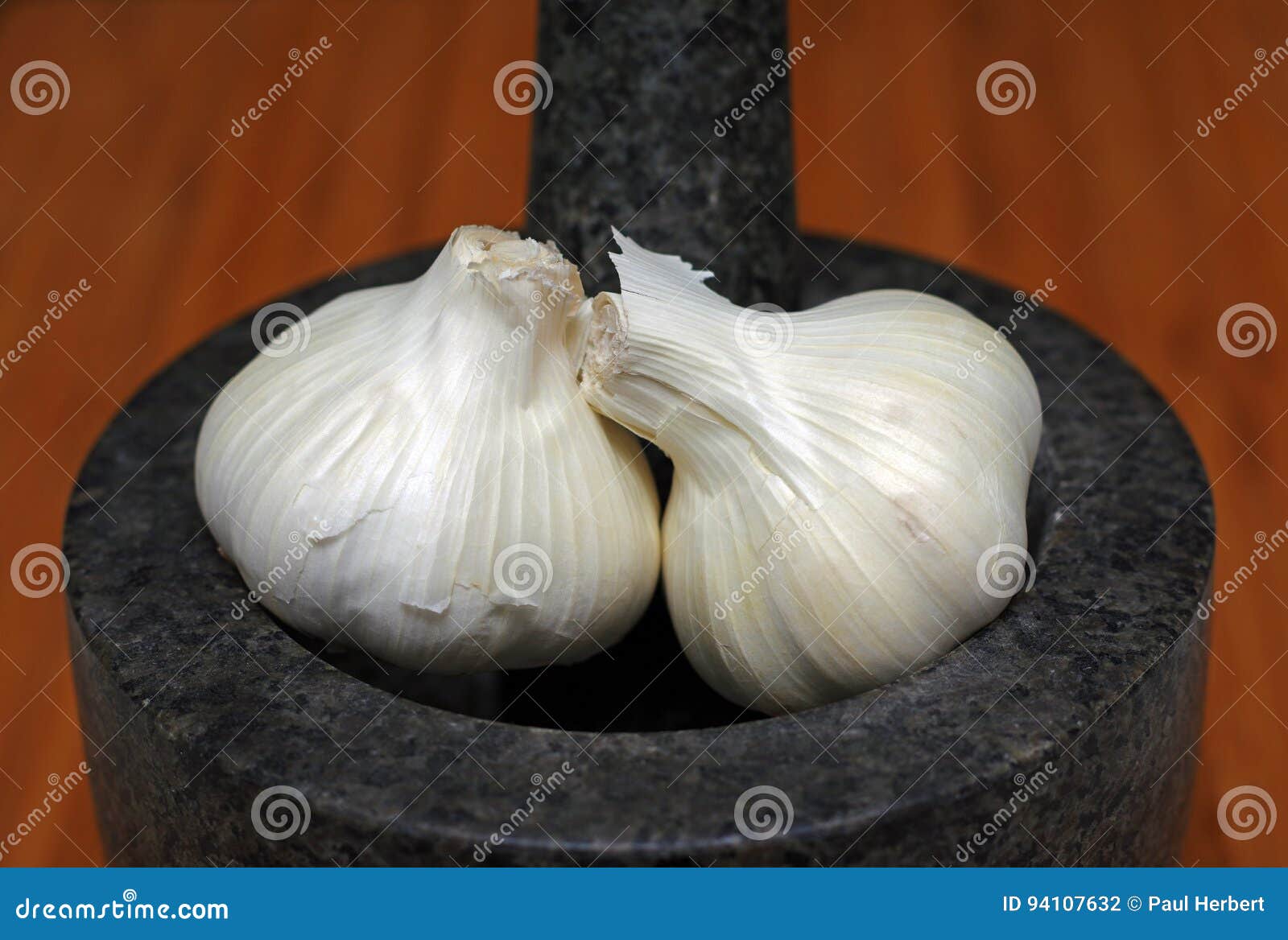 Garlic Bulbs and Mortar and Pestle Stock Photo Image of food, mortar