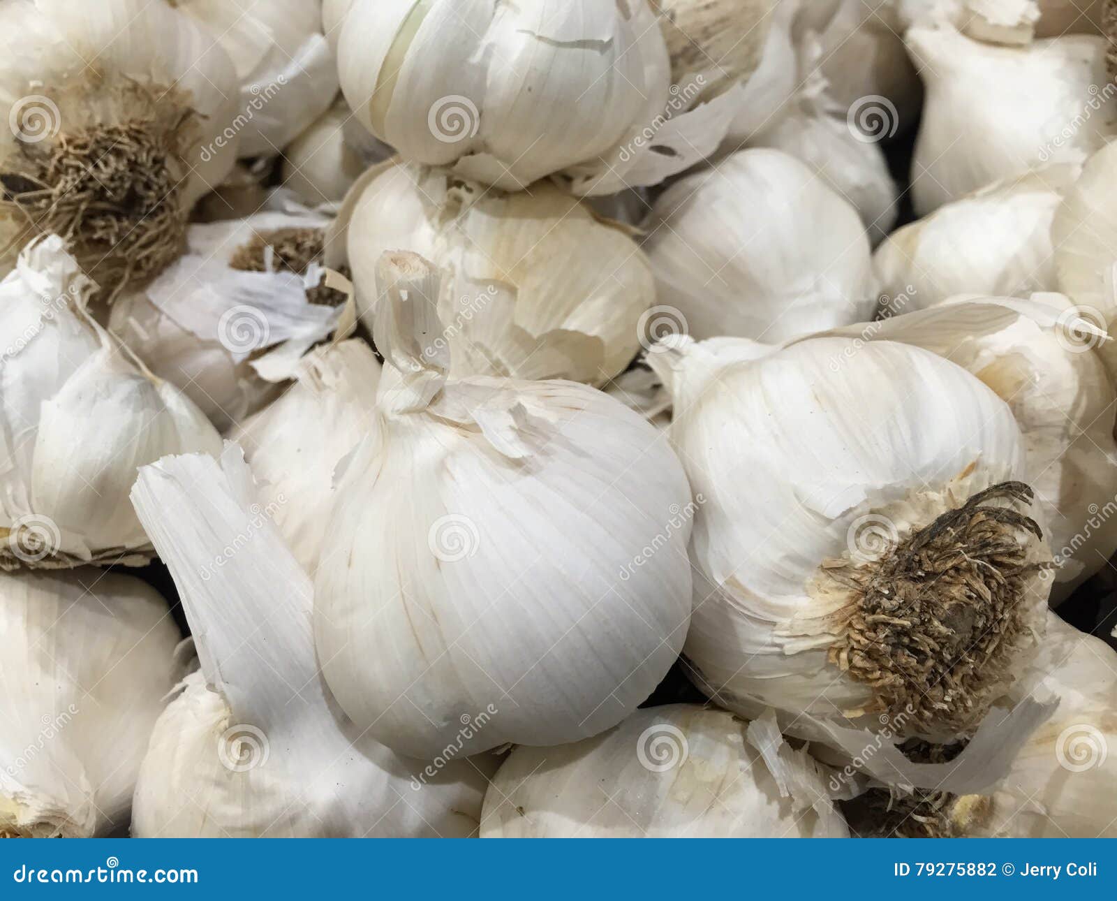 Garlic Bulbs in the Produce Section at Grocery Store. Stock Photo
