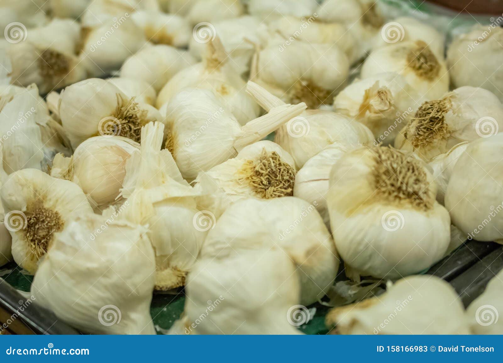 Garlic bulbs at the store stock image. Image of organized 158166983