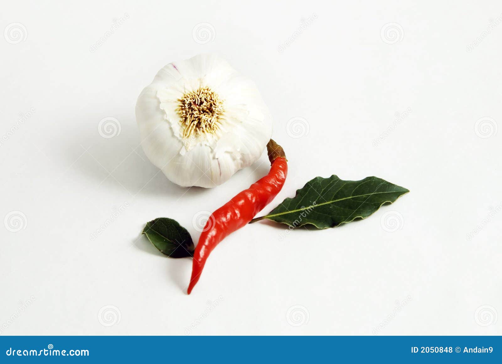 Garlic, Chili & Bay Leaves Stock Photo Image of dried, curved 2050848