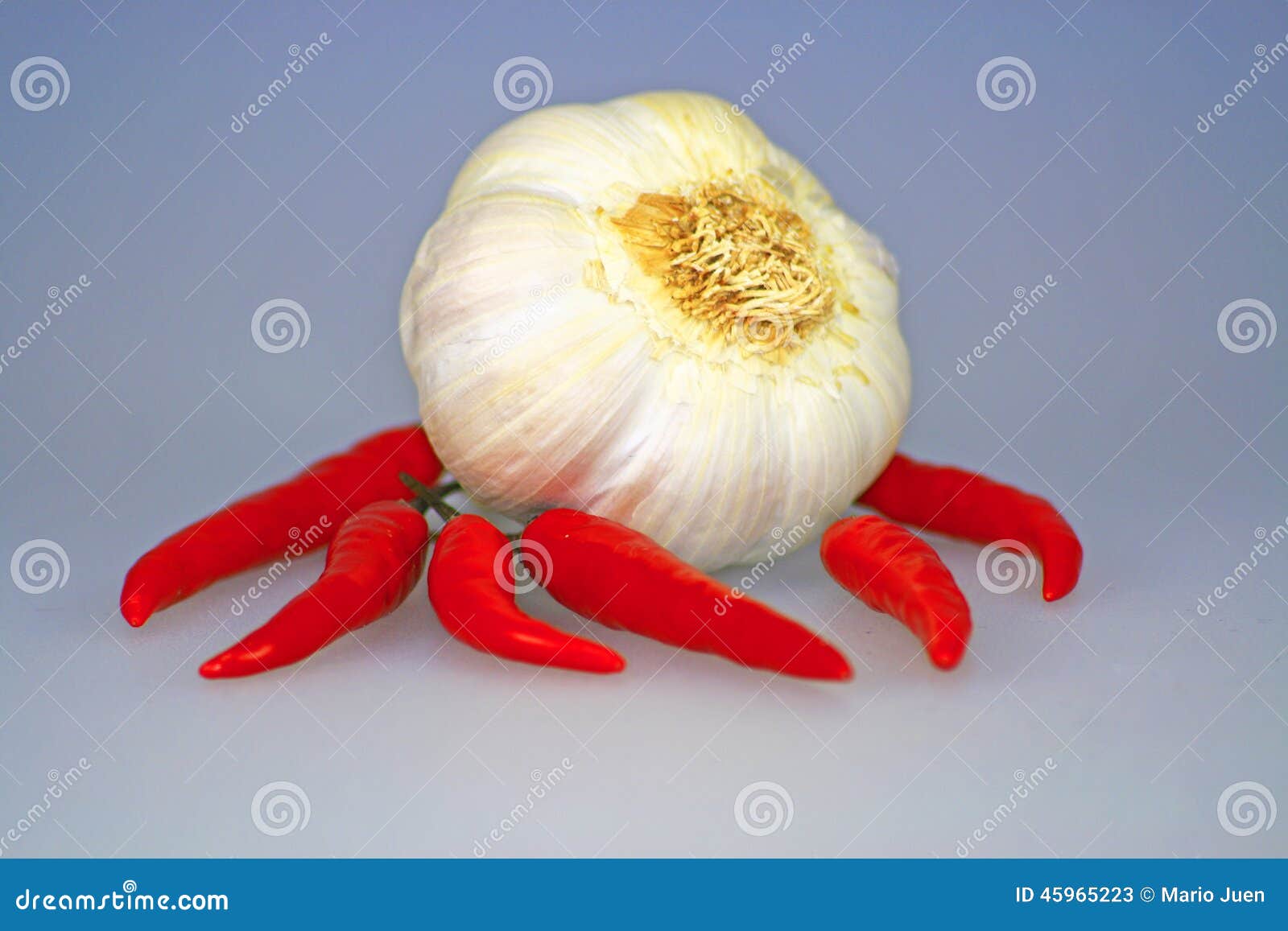 Garlic chili stock image. Image of leek, scoville, chili 45965223