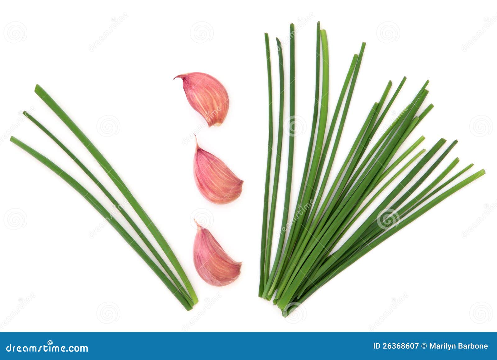 Garlic and Chives stock image. Image of nutrition, seasoning 26368607