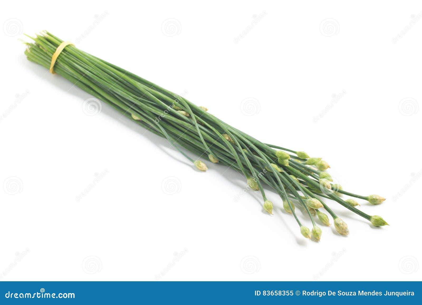 Garlic Chives Flower stock image. Image of flowers, bunch 83658355