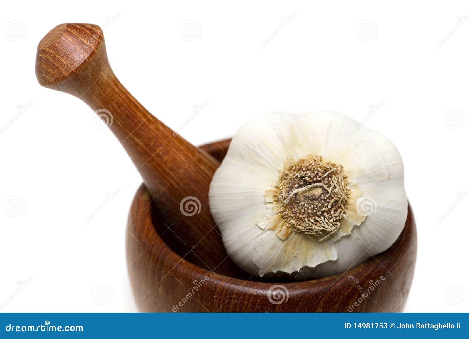 Garlic Clove stock image. Image of color, bulb, garlic 14981753