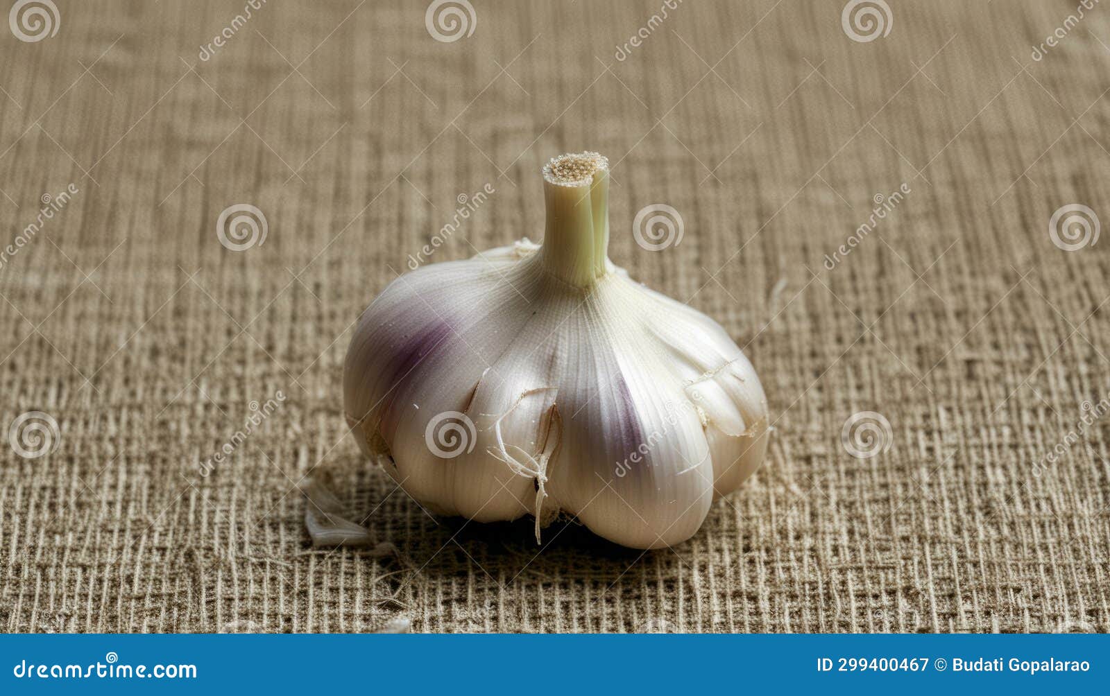 A Garlic Clove on a Brown Surface Stock Illustration Illustration of vegetable, spice 299400467