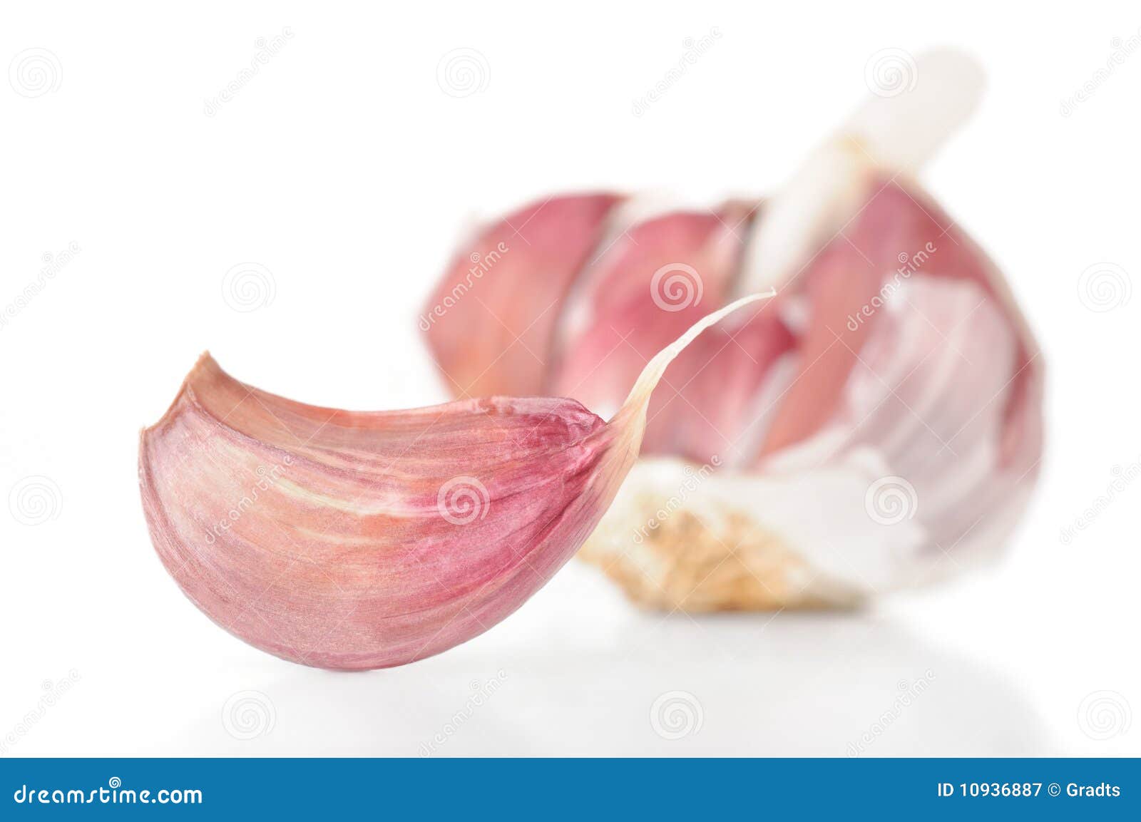 Garlic clove bulb stock image. Image of isolated, clove 10936887