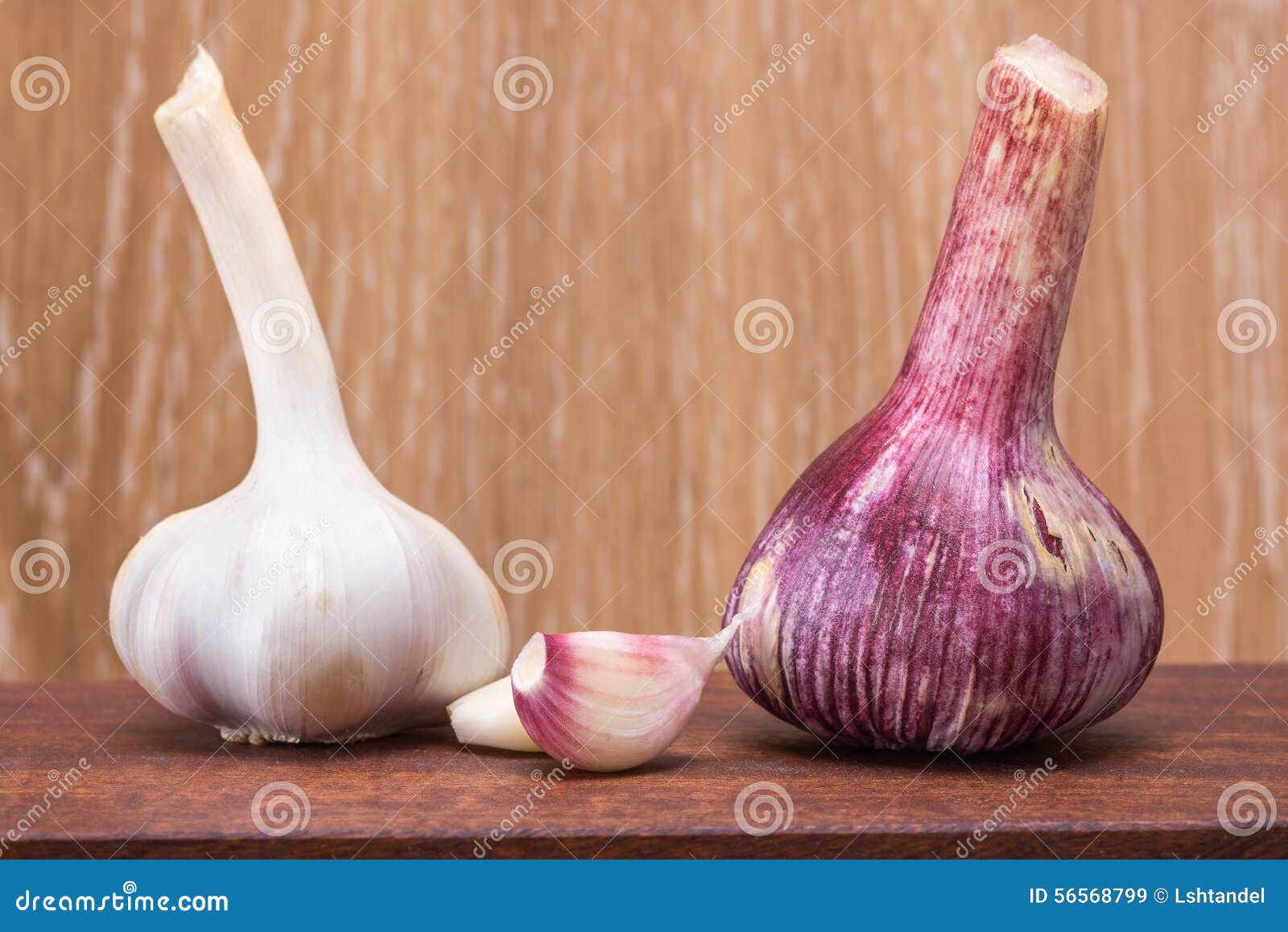 Garlic clove and head stock image. Image of condiment 56568799