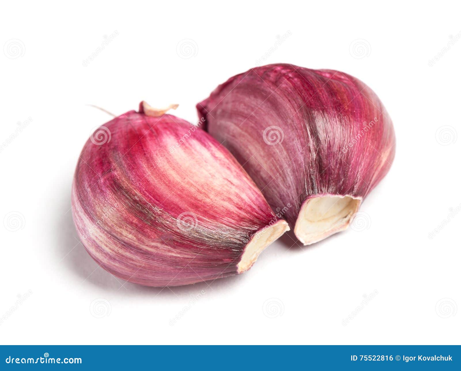 Garlic clove stock photo. Image of acrid, condiment, fresh 75522816