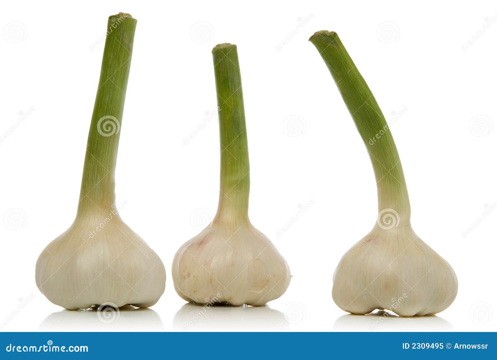 Garlic cloves stock image. Image of cloves, condiment 2309495