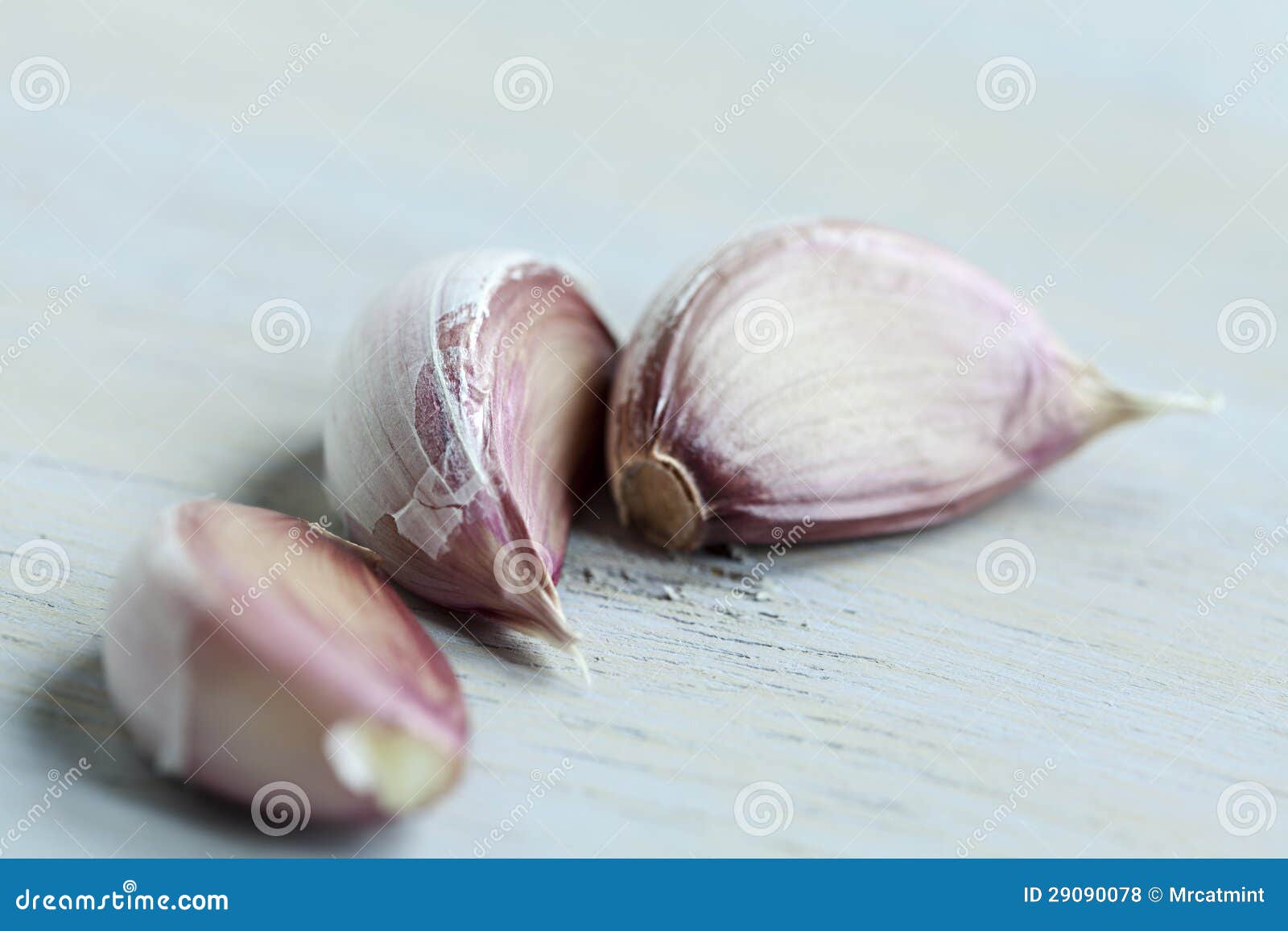 Garlic cloves stock photo. Image of fresh, italy, cook 29090078