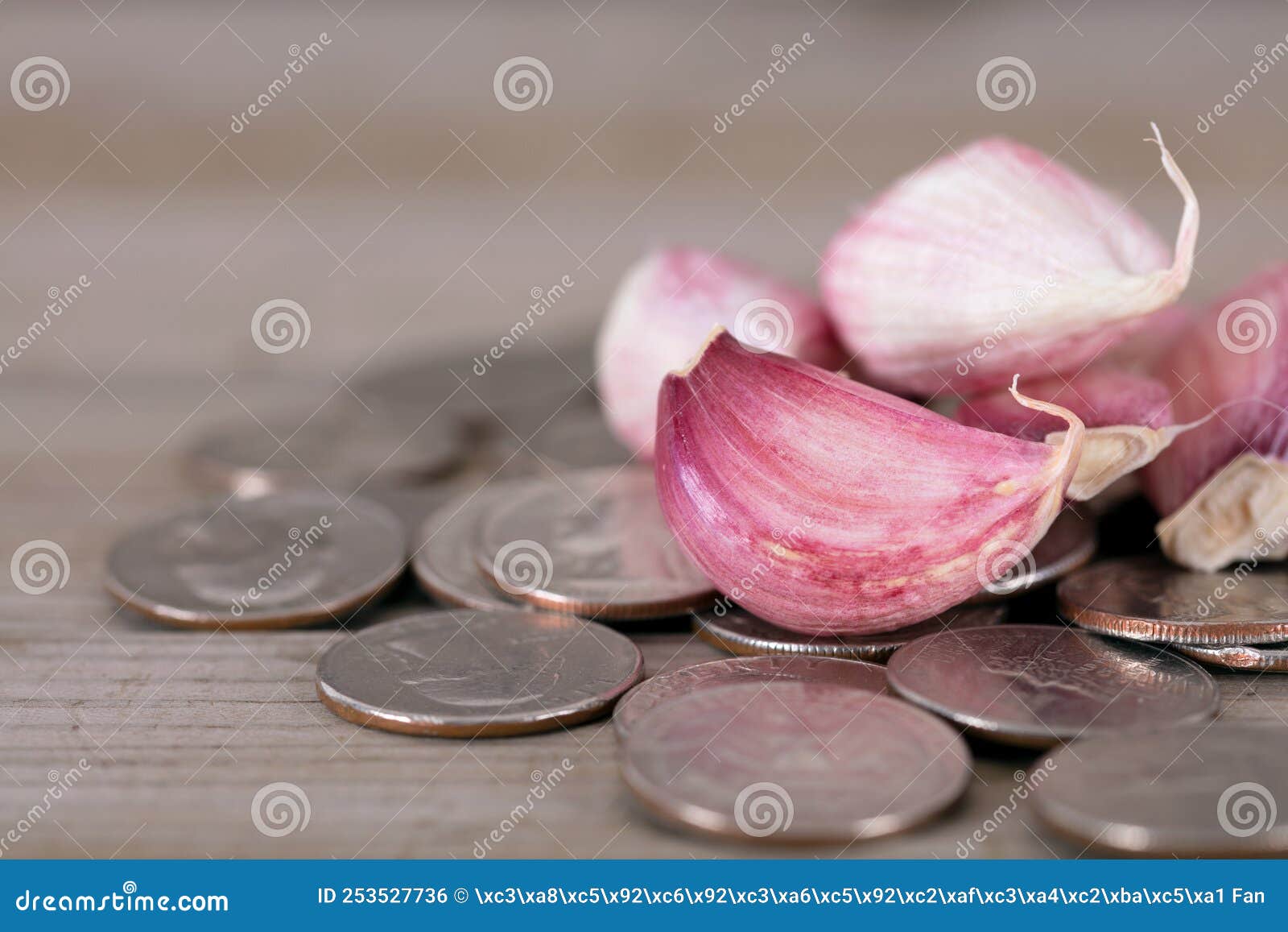 Garlic Cloves on a Pile of Dollar Coins Stock Photo Image of stack