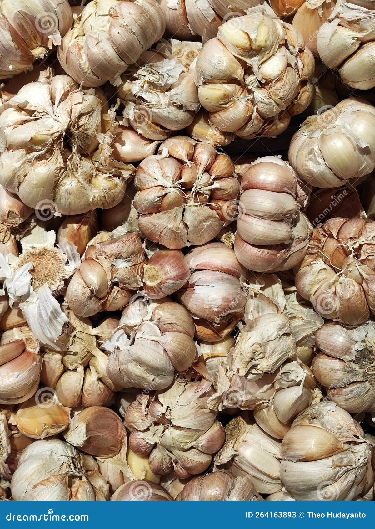 Garlic for cooking stock image. Image of herb, dish 264163893