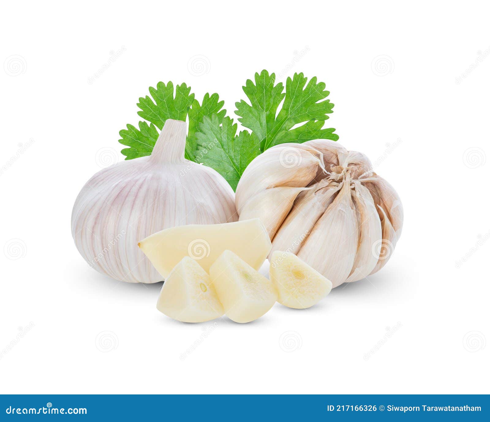 Garlic and Coriander Leaves Isolated on White Stock Photo Image of