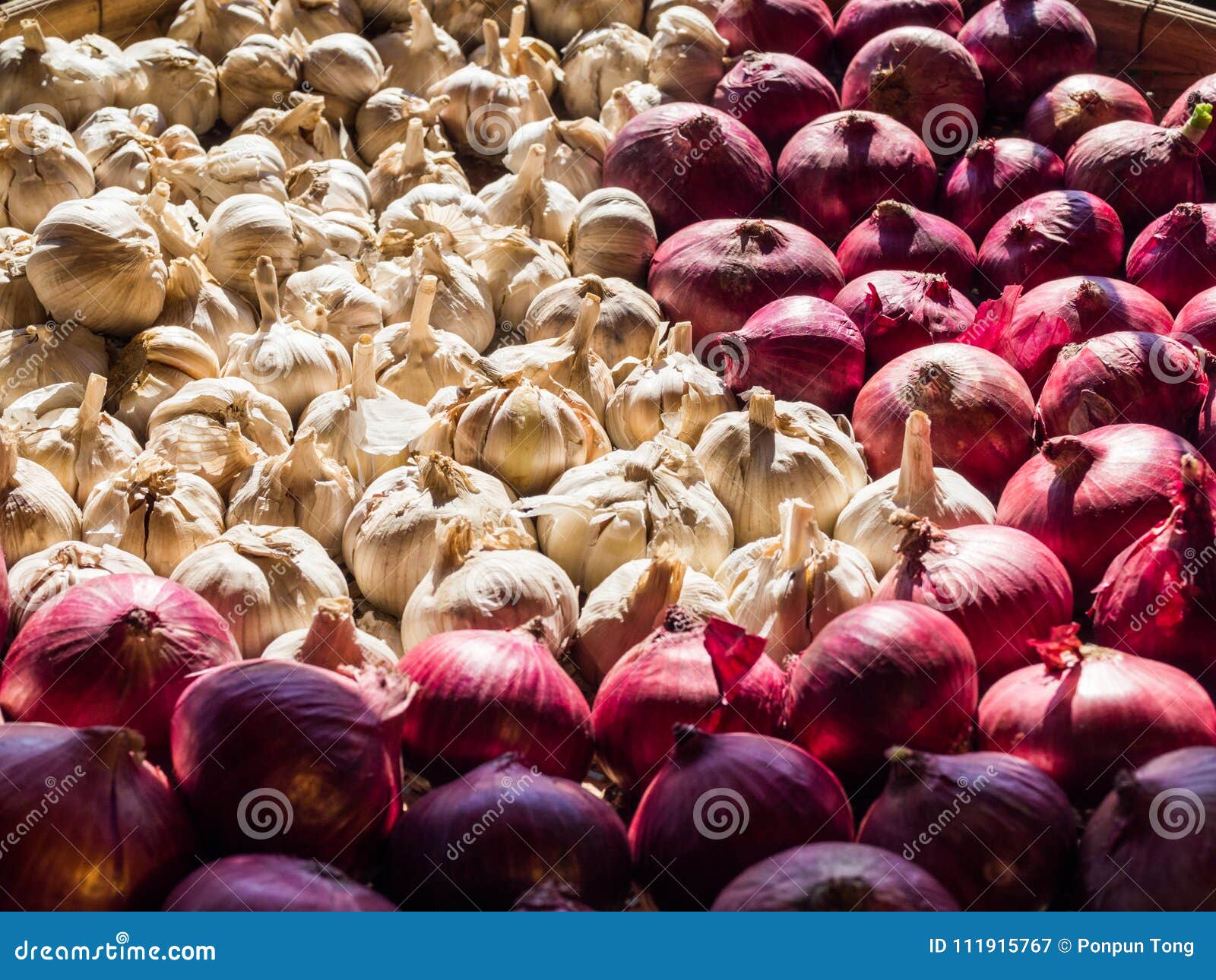 Garlic, Different Kinds and Colors, Drying Process by Sun Stock Image