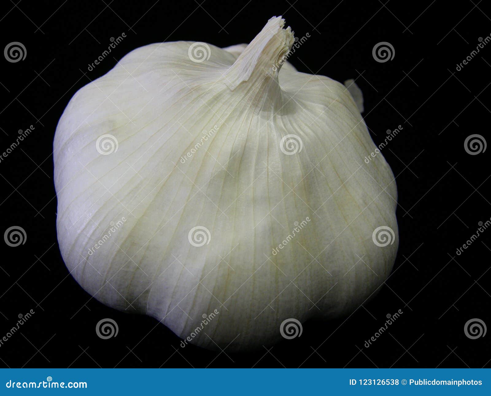 Garlic, Elephant Garlic, Petal, Ingredient Picture. Image 123126538