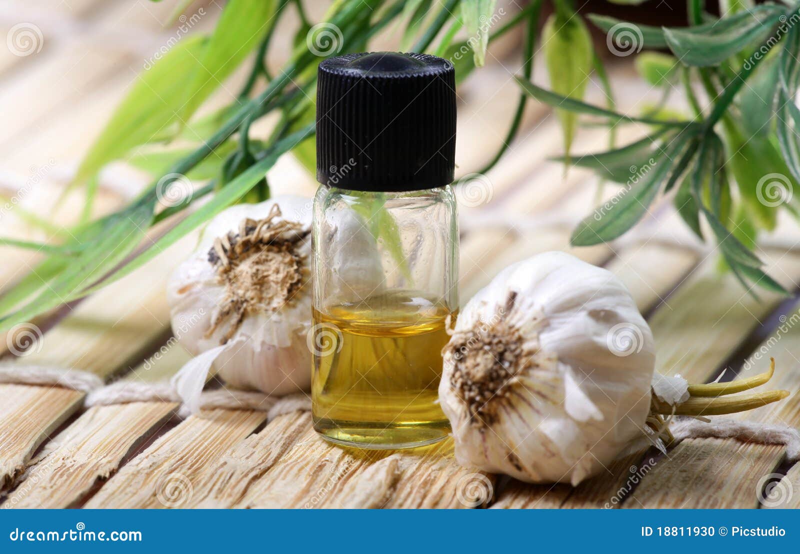 Garlic essence stock photo. Image of fine, garlic, nutrition 18811930