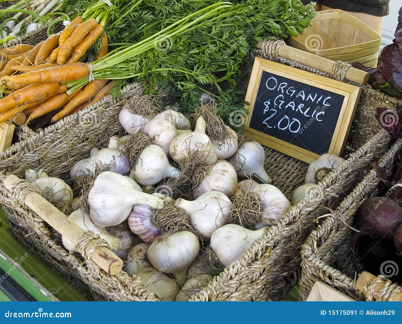 Garlic at Farmers' Market stock image. Image of display 15175091