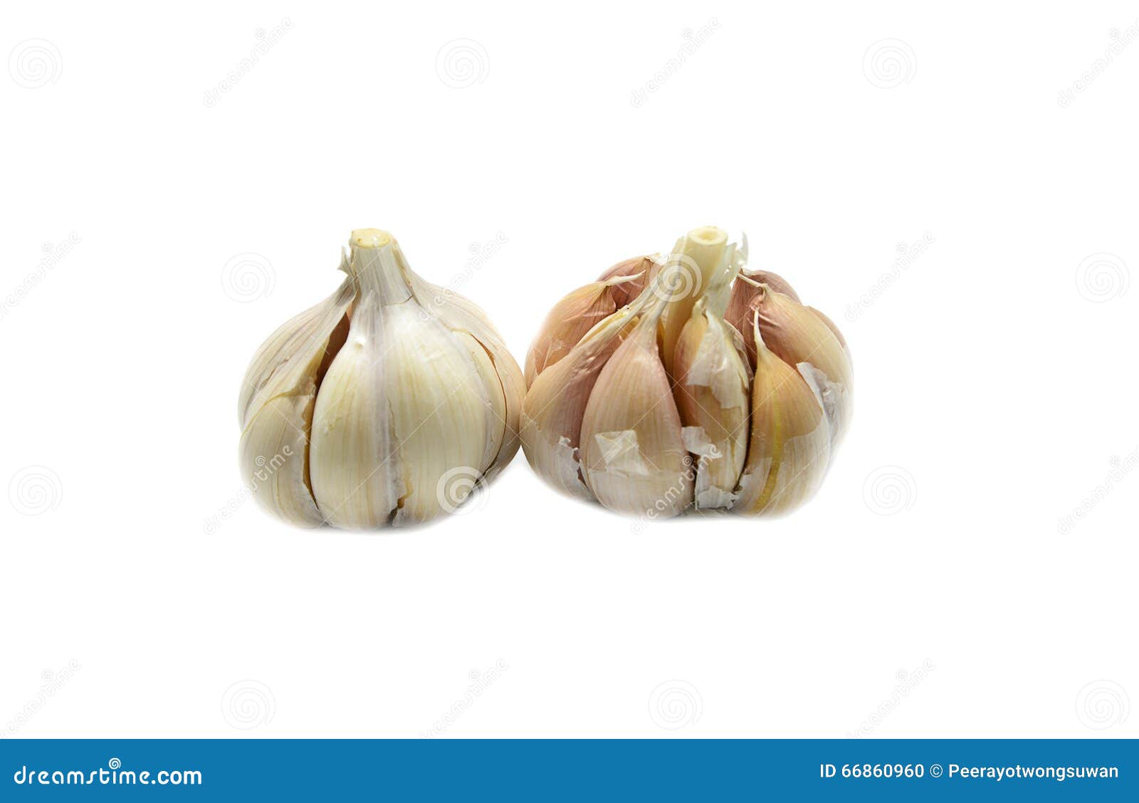 Garlic stock photo. Image of white, spice, closeup, food 66860960