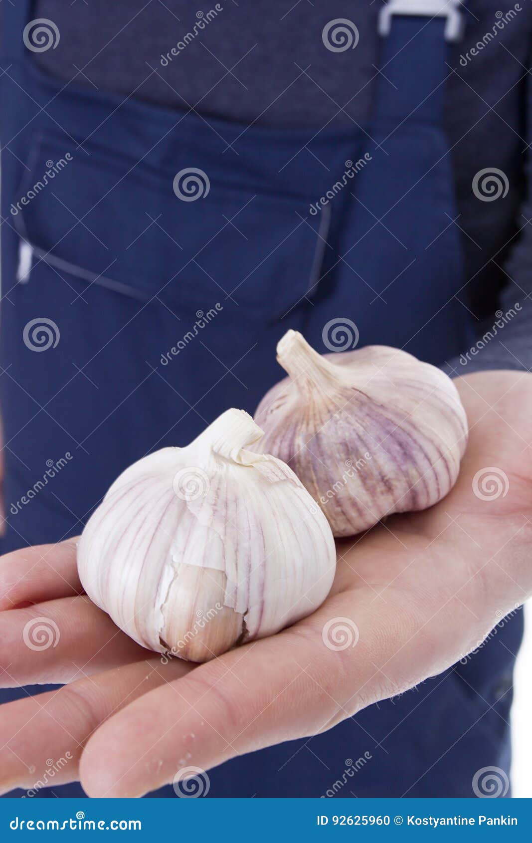 Garlic in hands stock photo. Image of condiment, ingredients 92625960
