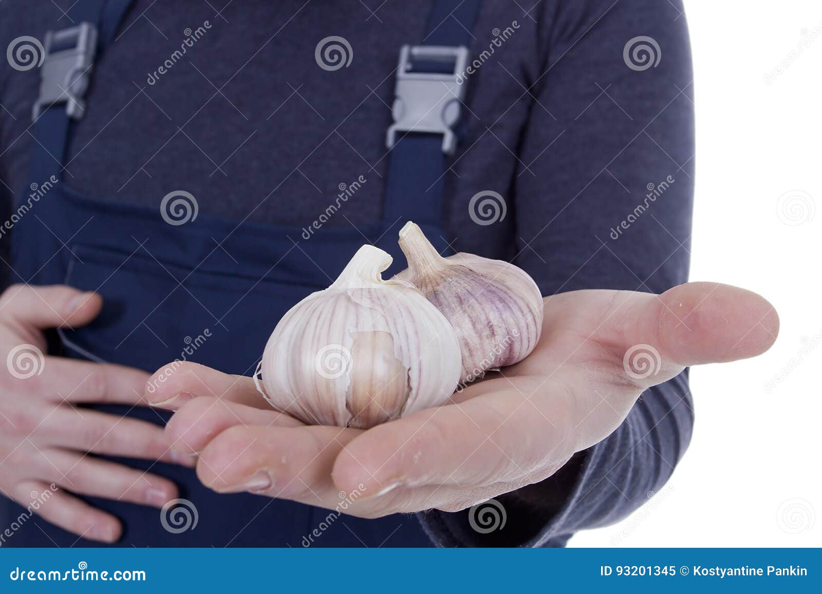 Garlic in hands stock image. Image of health, cooking 93201345