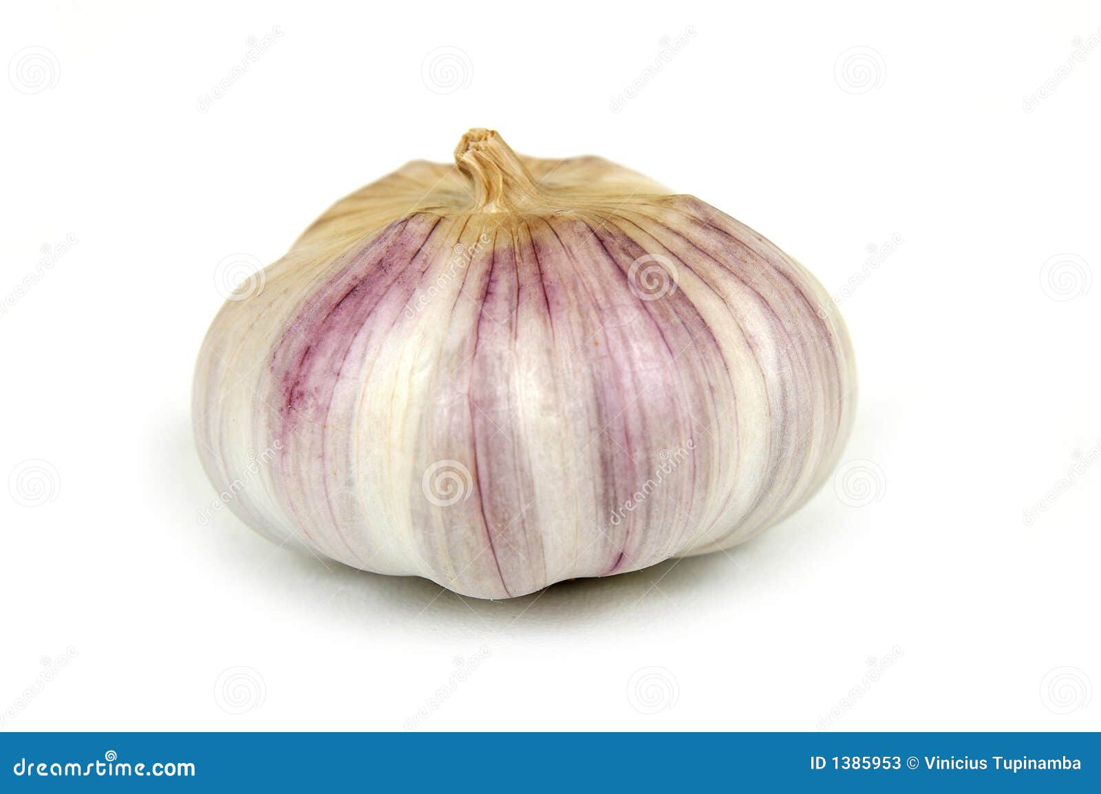 Garlic Head stock image. Image of flavor, aroma, calorie 1385953