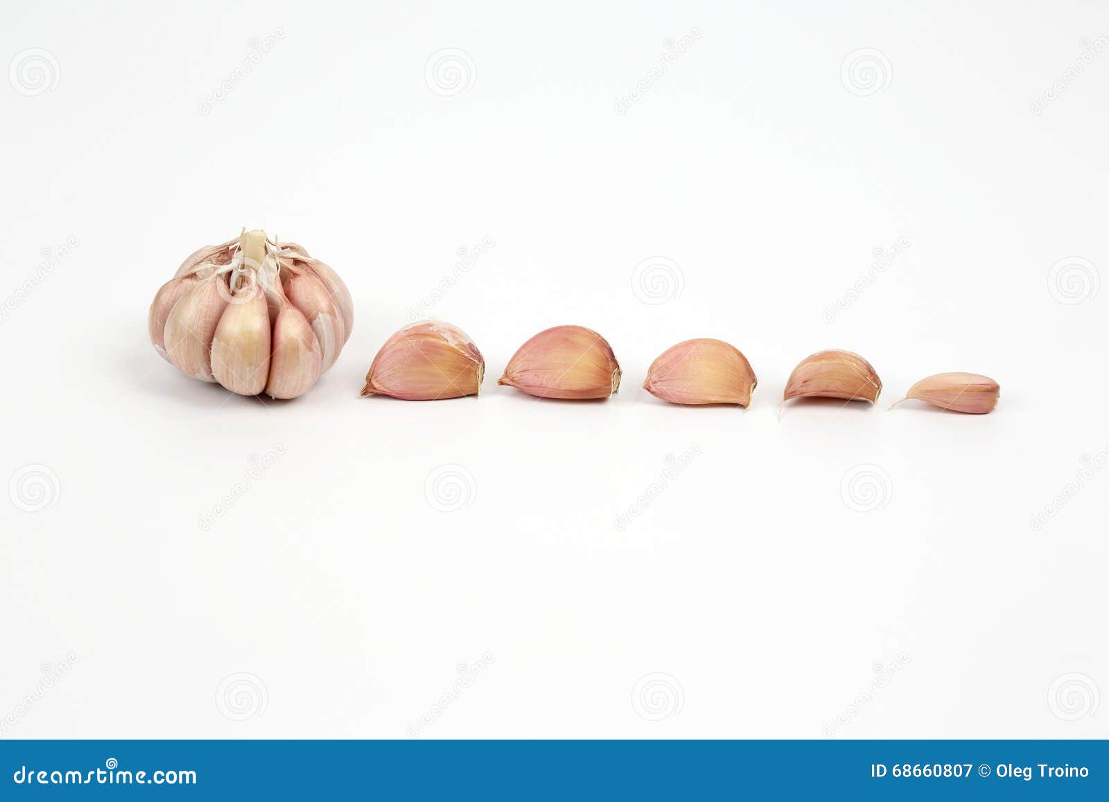 Garlic Head and Cloves on White Background Stock Image Image of group