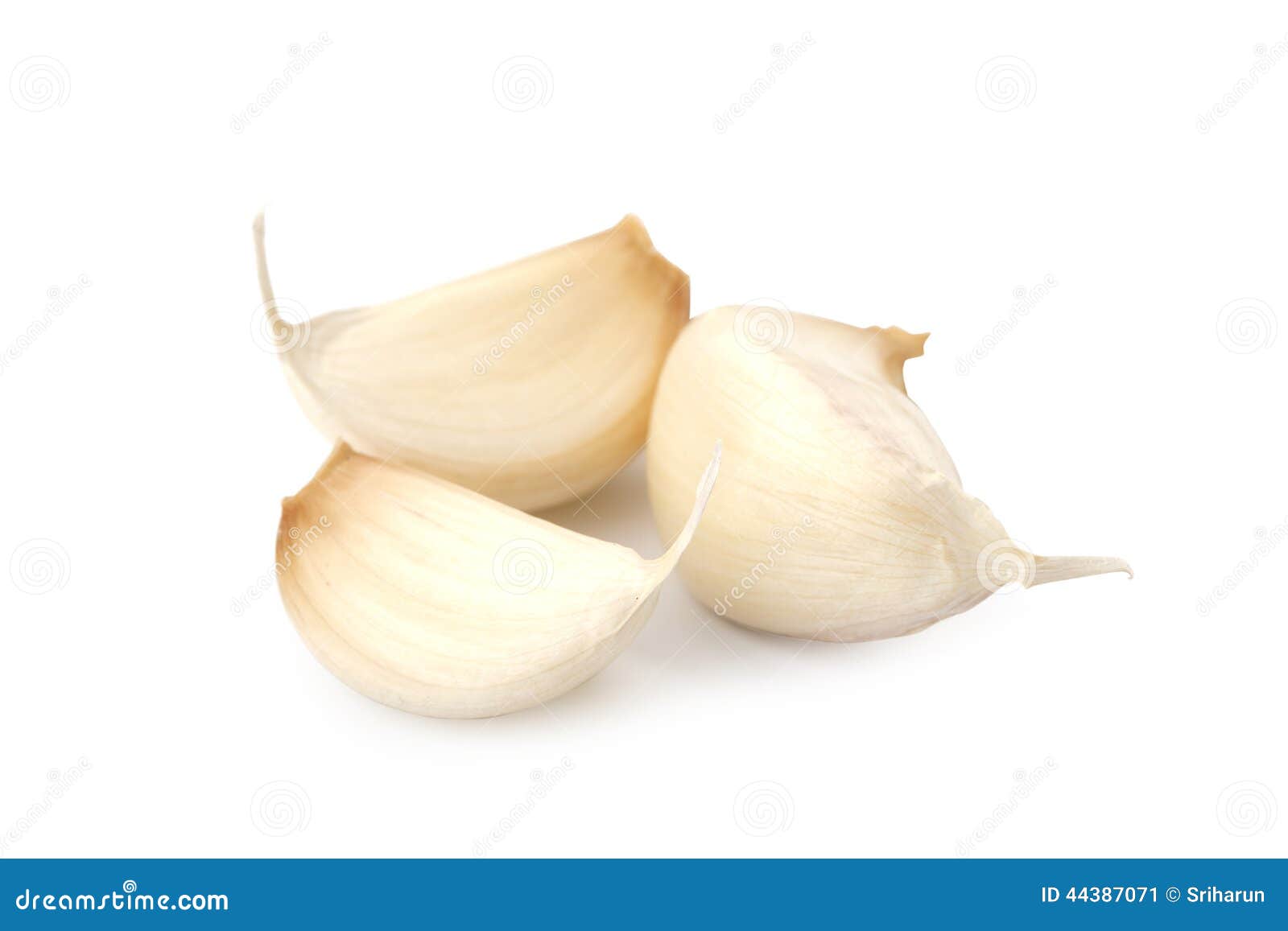 Garlic head and cloves stock image. Image of fresh, eating 44387071