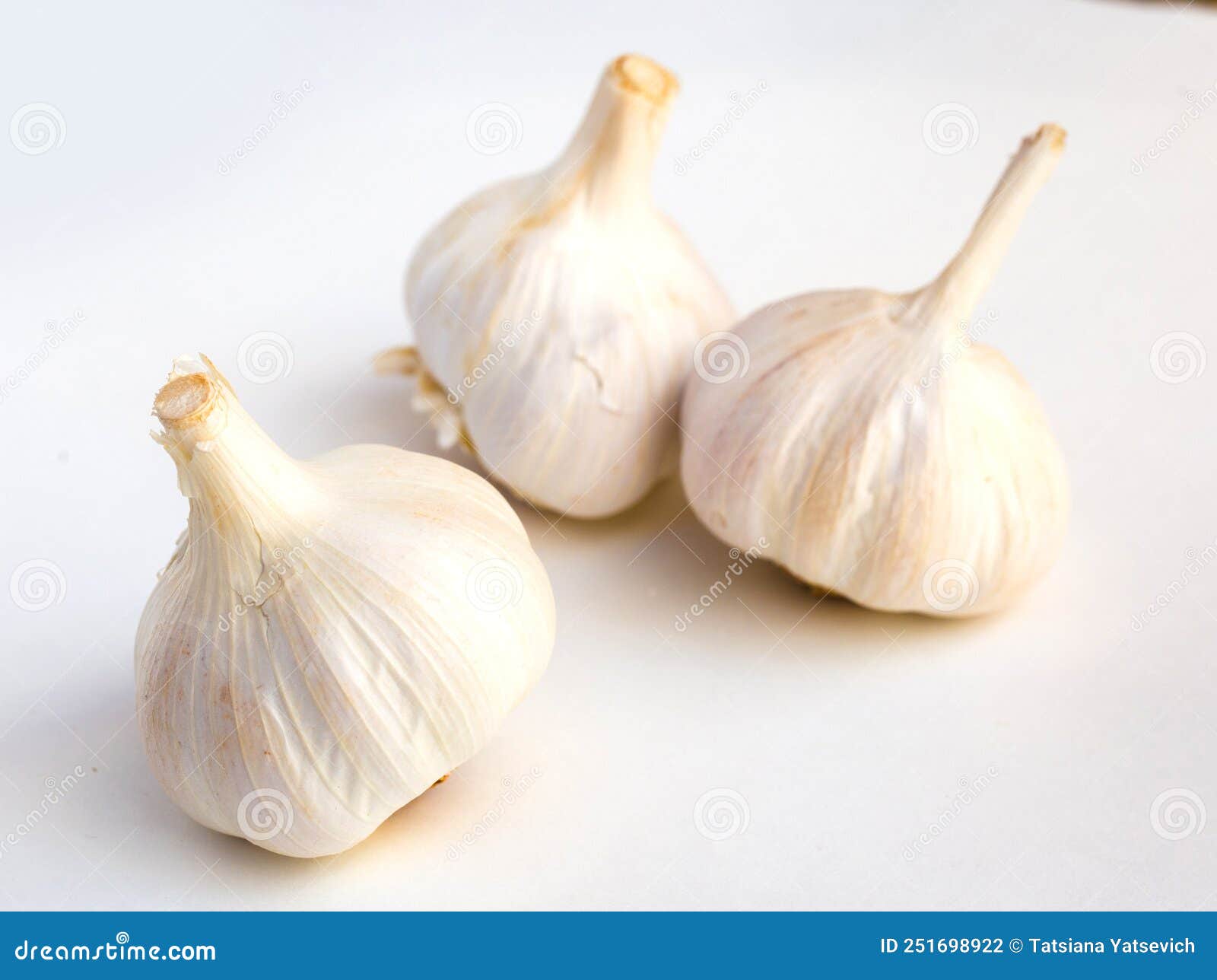 Garlic Heads and Cloves on White Background Stock Photo Image of