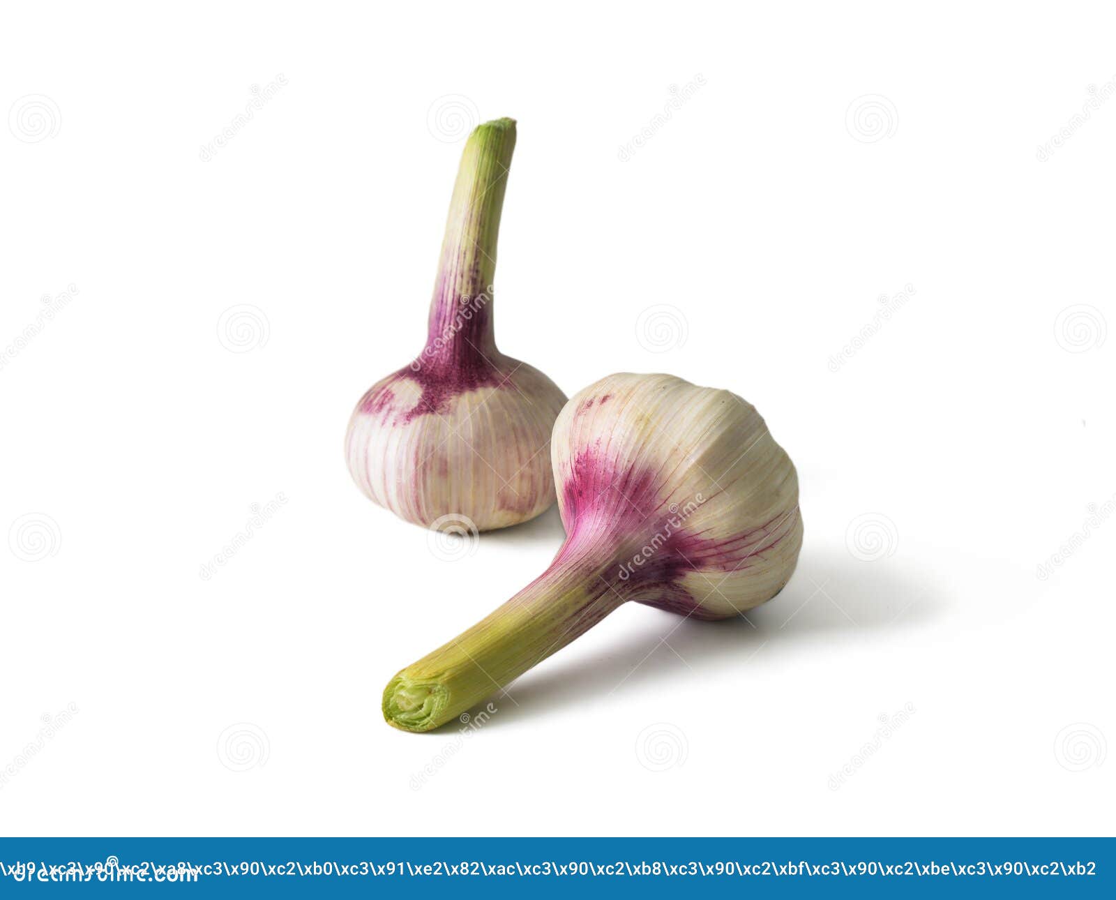 Garlic heads stock photo. Image of eating, food, intact 182870648