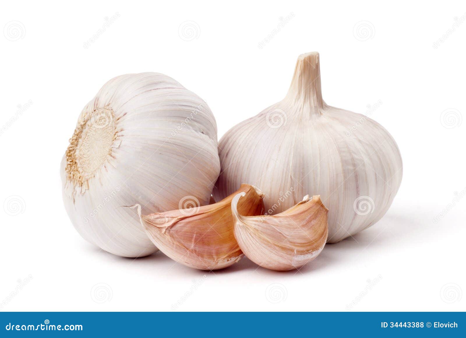 garlic  on white background