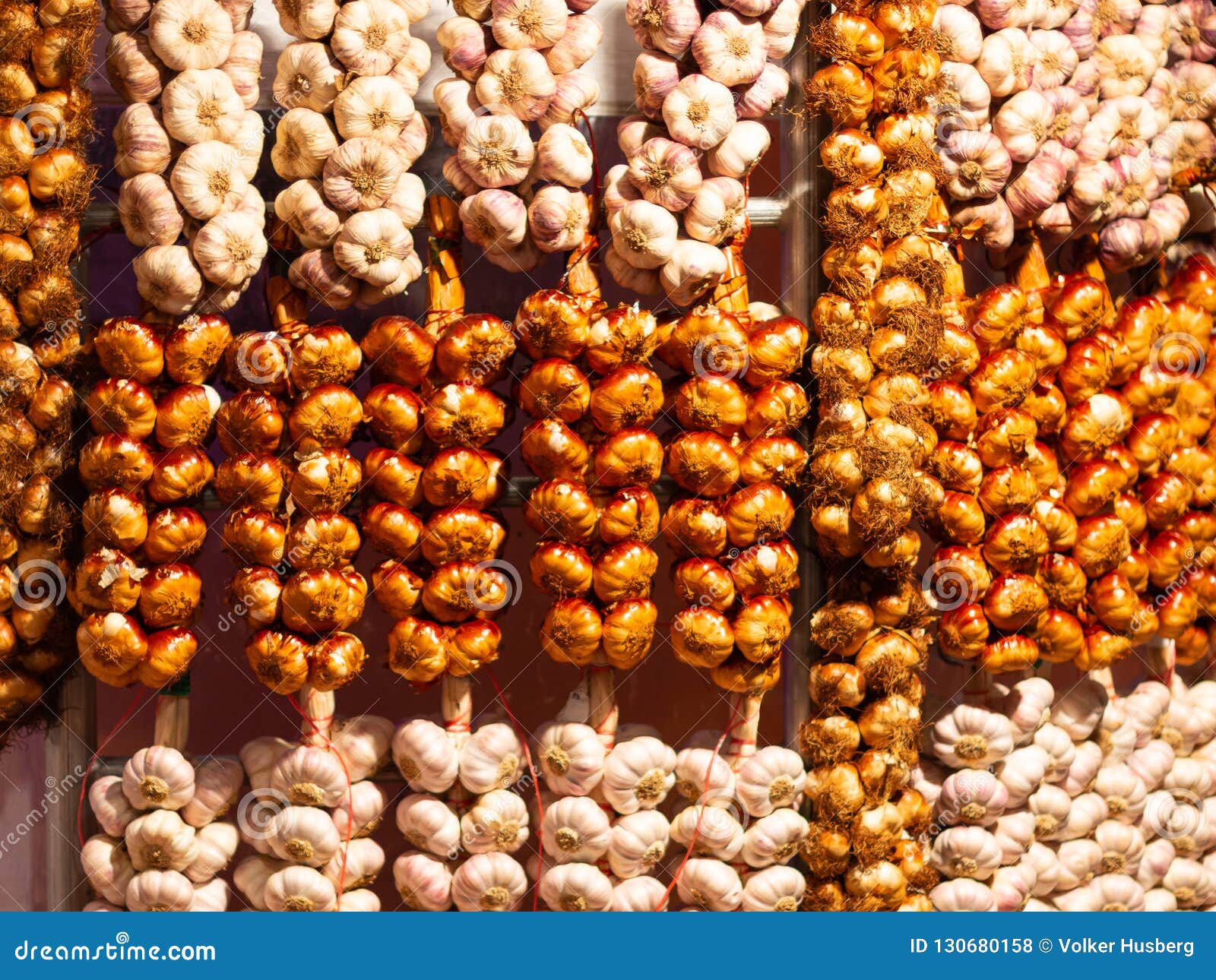 garlix torchat market garlix torchat market