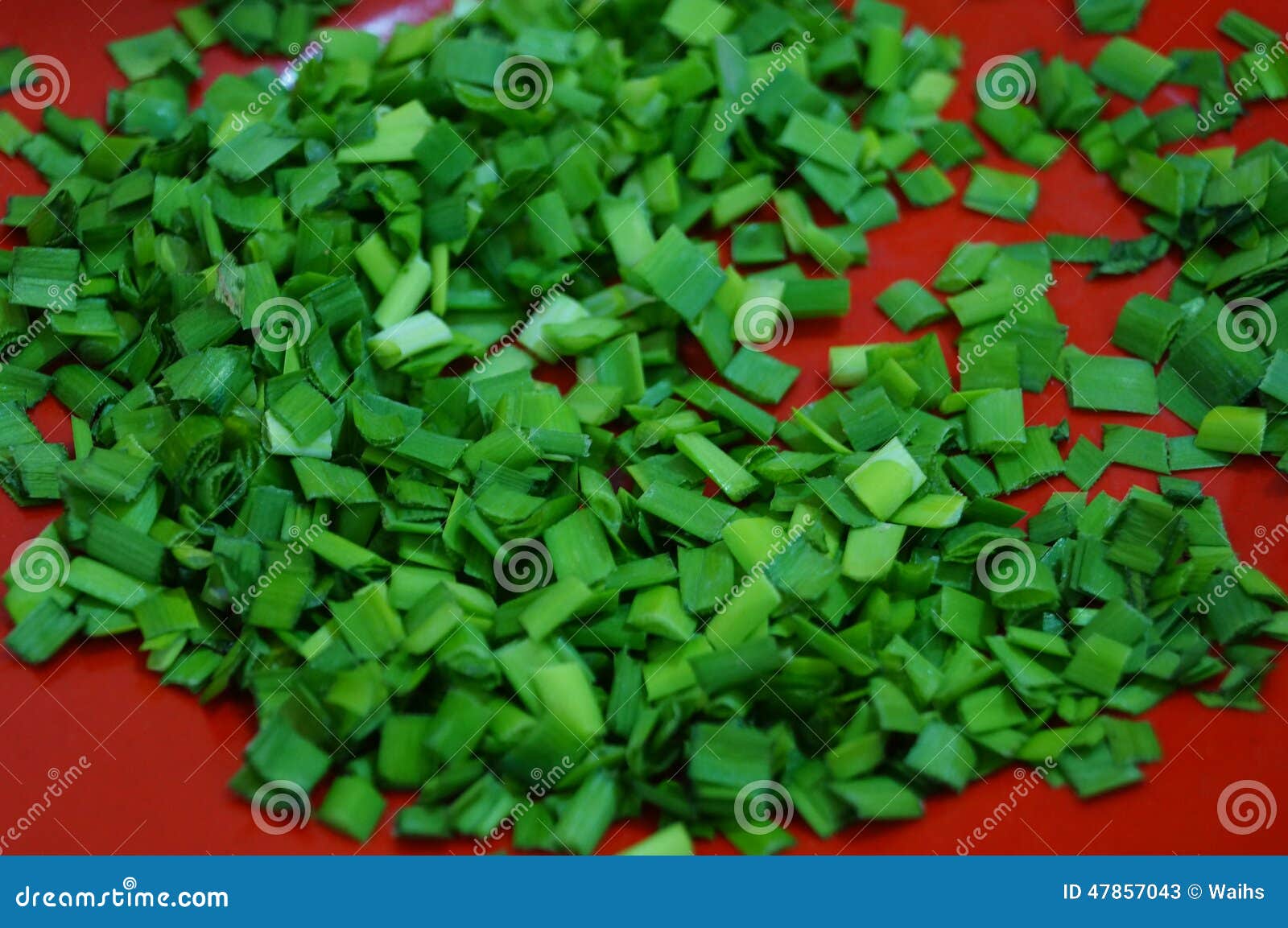 Garlic leaves stock image. Image of kitchen, food, restaurants 47857043