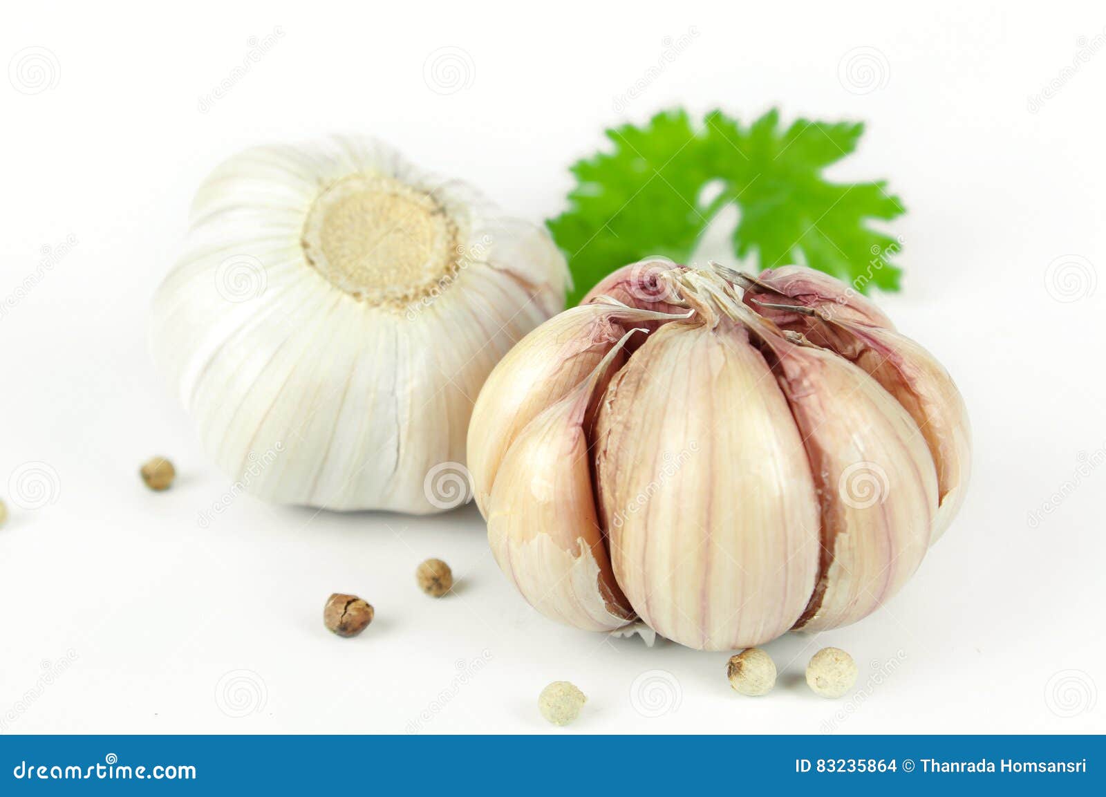 Garlic with Leaves of Coriander Stock Photo Image of flavorful