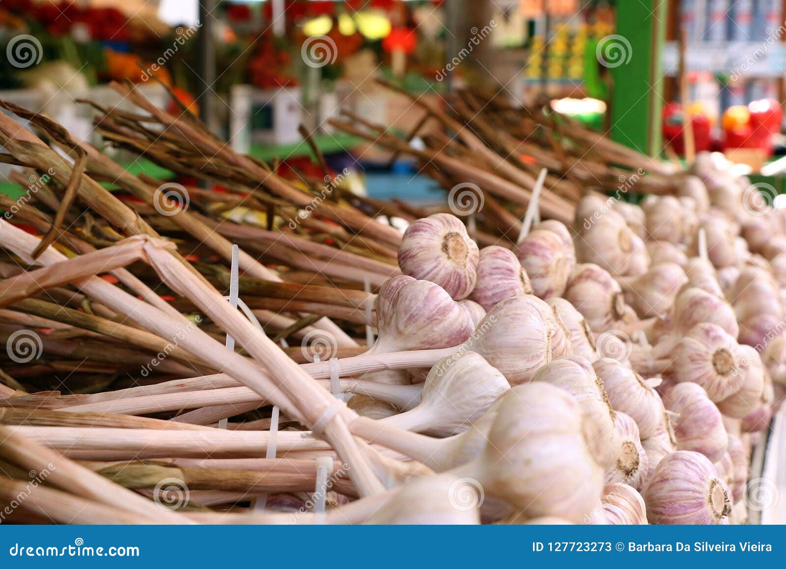 garlic marche jean-talon