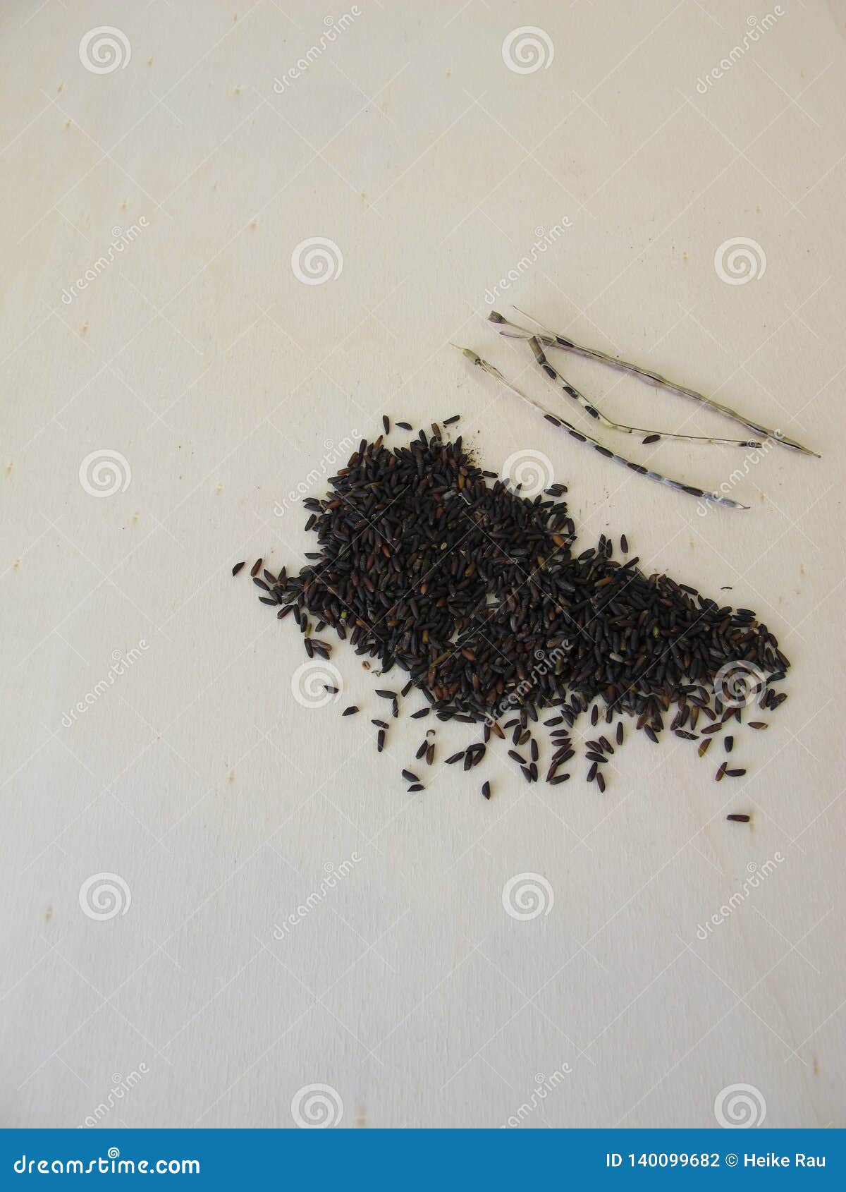 Garlic mustard seeds stock photo. Image of mustard, seeds 140099682