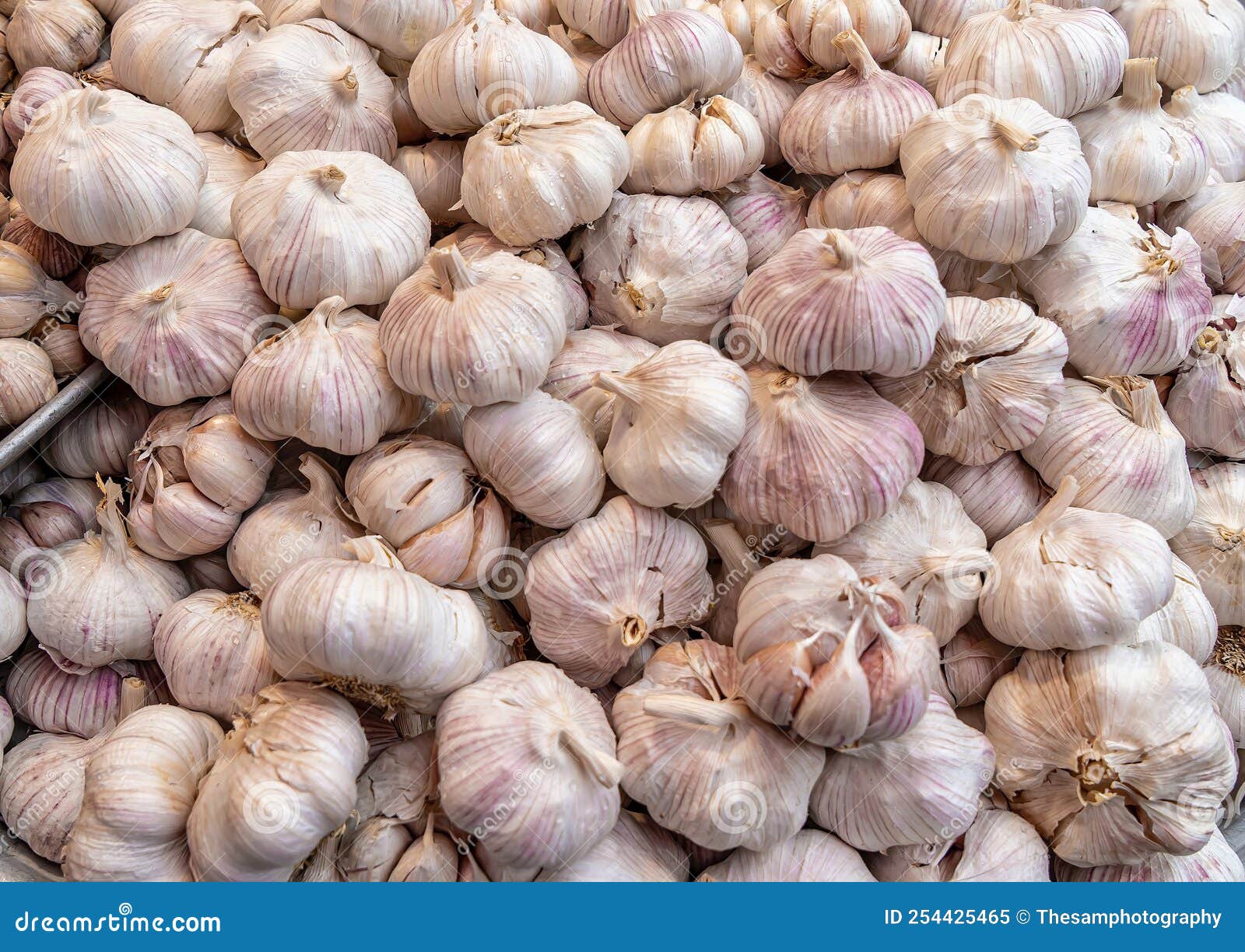 Garlic a Natural Medicine Stock Image Image of food, seasoning