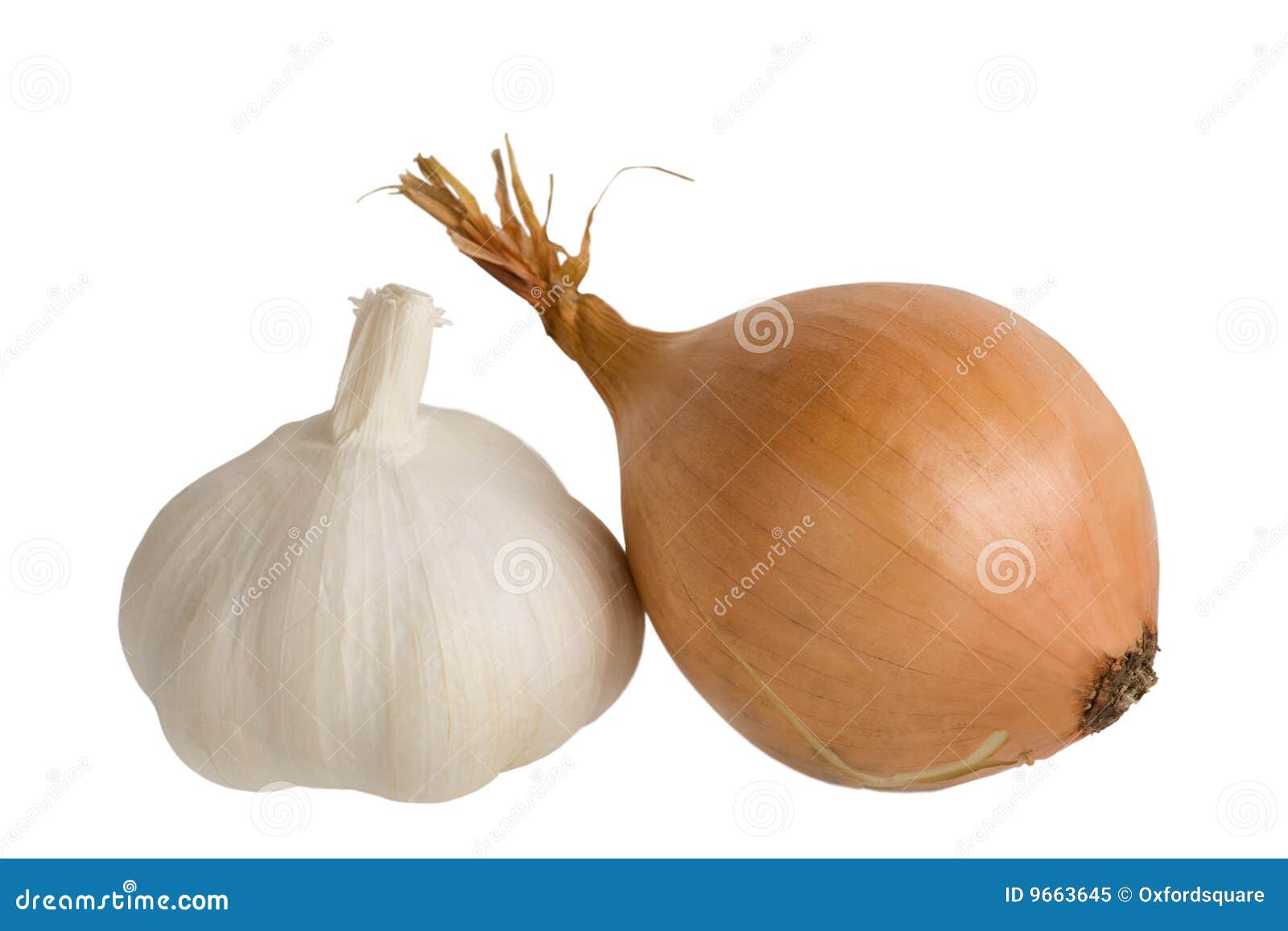 Garlic, onion stock image. Image of nature, onion, aromatic 9663645