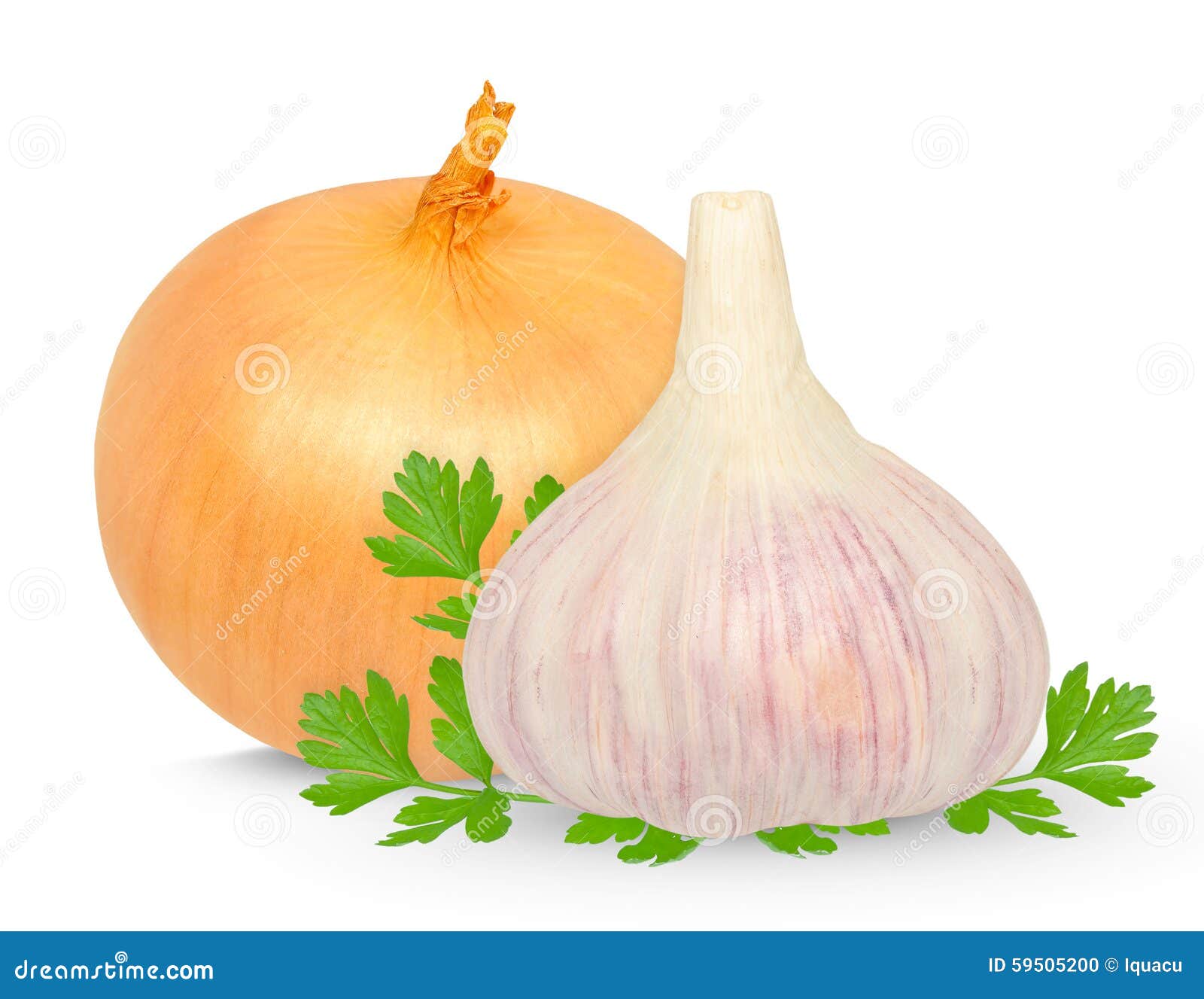 Garlic and onion stock photo. Image of vitamin, white 59505200