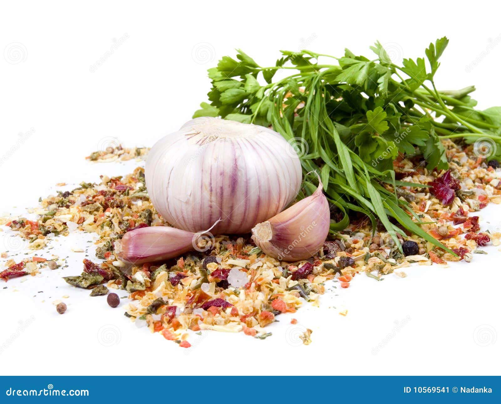 Garlic and parsley stock image. Image of green, herb 10569541