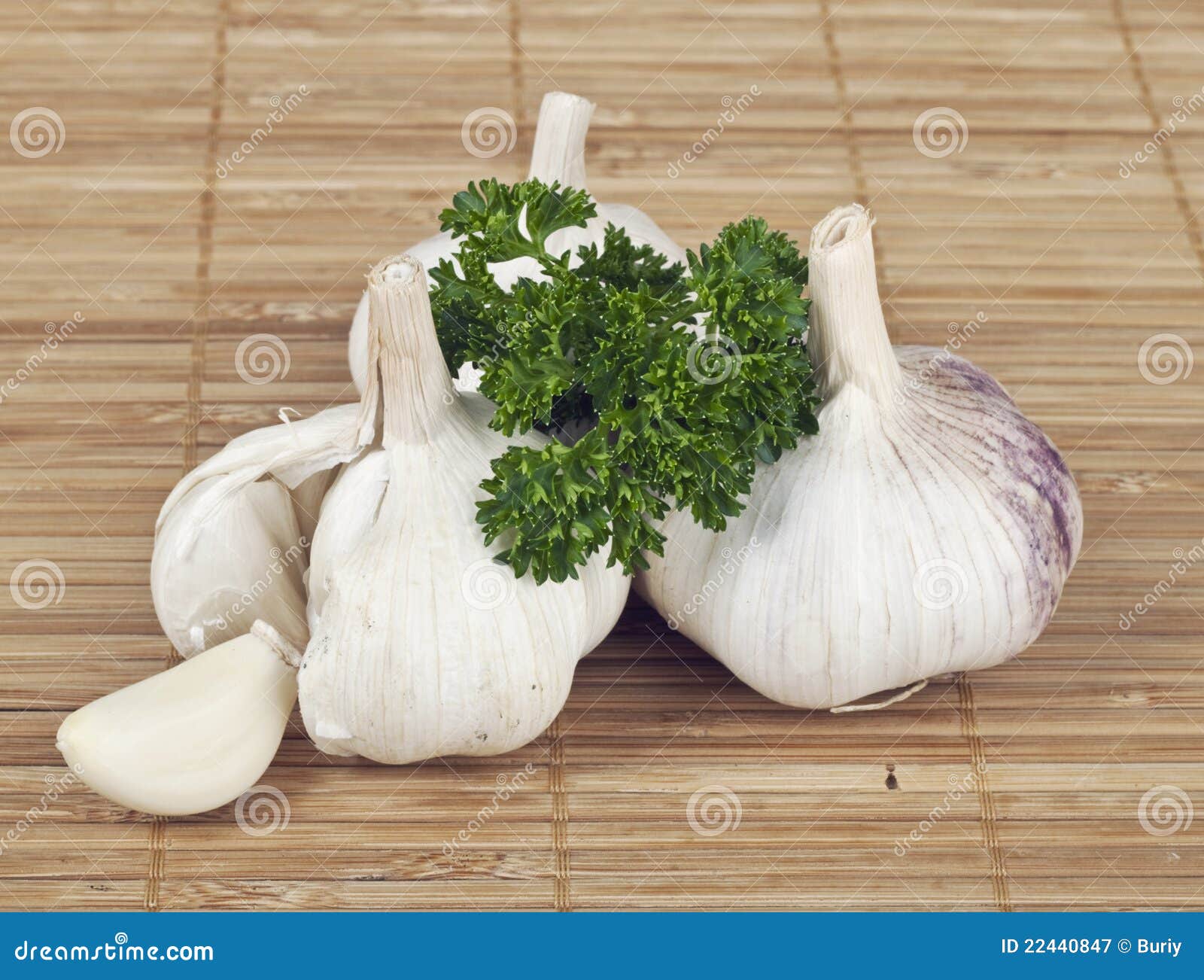 Garlic and parsley stock image. Image of color, object 22440847