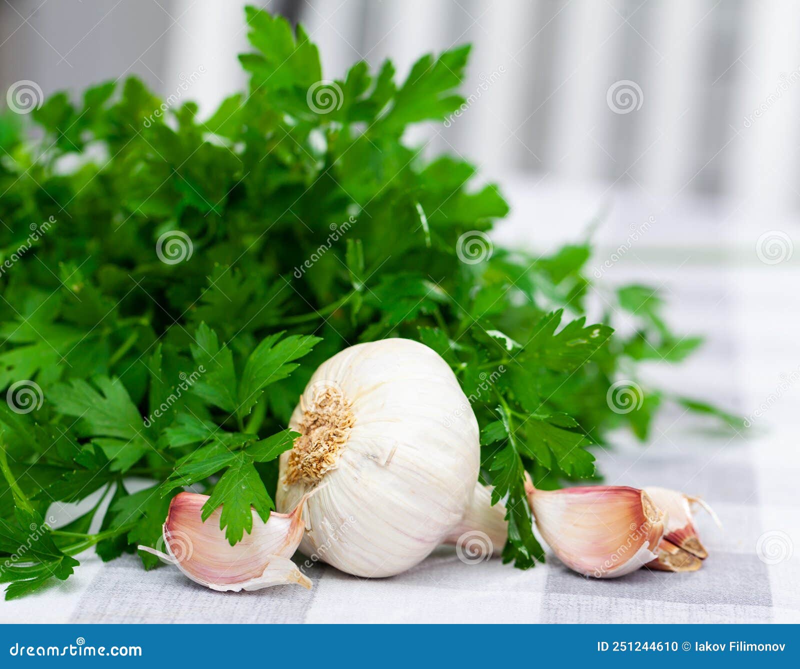 Garlic and Parsley on the Cutting Board Stock Photo Image of garnish