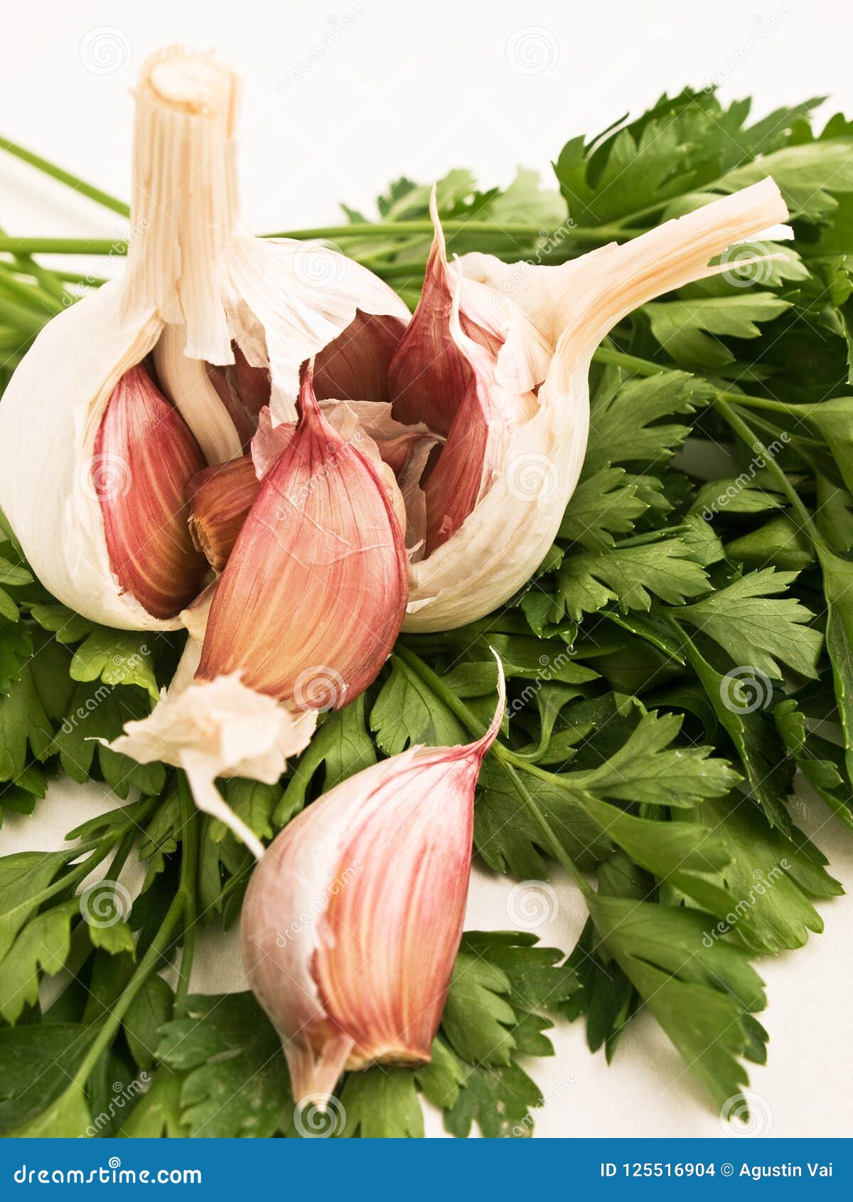 Garlic and parsley stock photo. Image of object, life 125516904