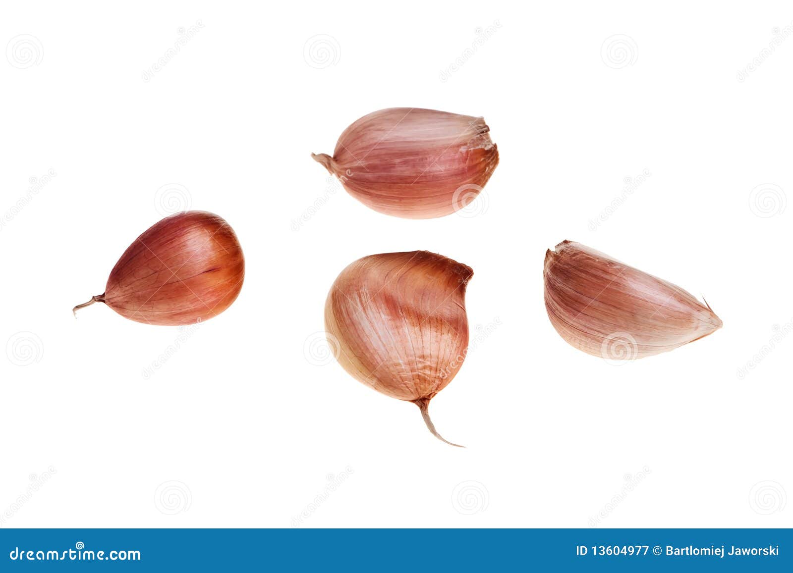 Garlic pieces. stock image. Image of bulb, vegetarian 13604977