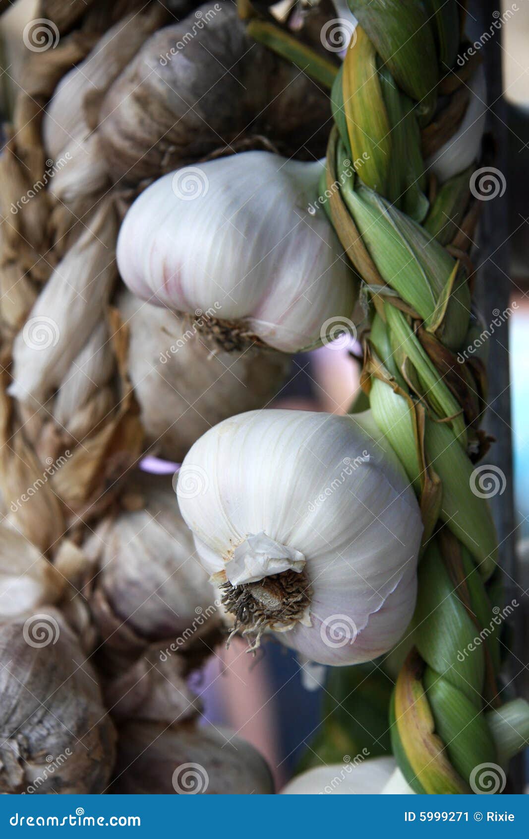 Garlic rope stock image. Image of healthy, seasoning, garlic 5999271