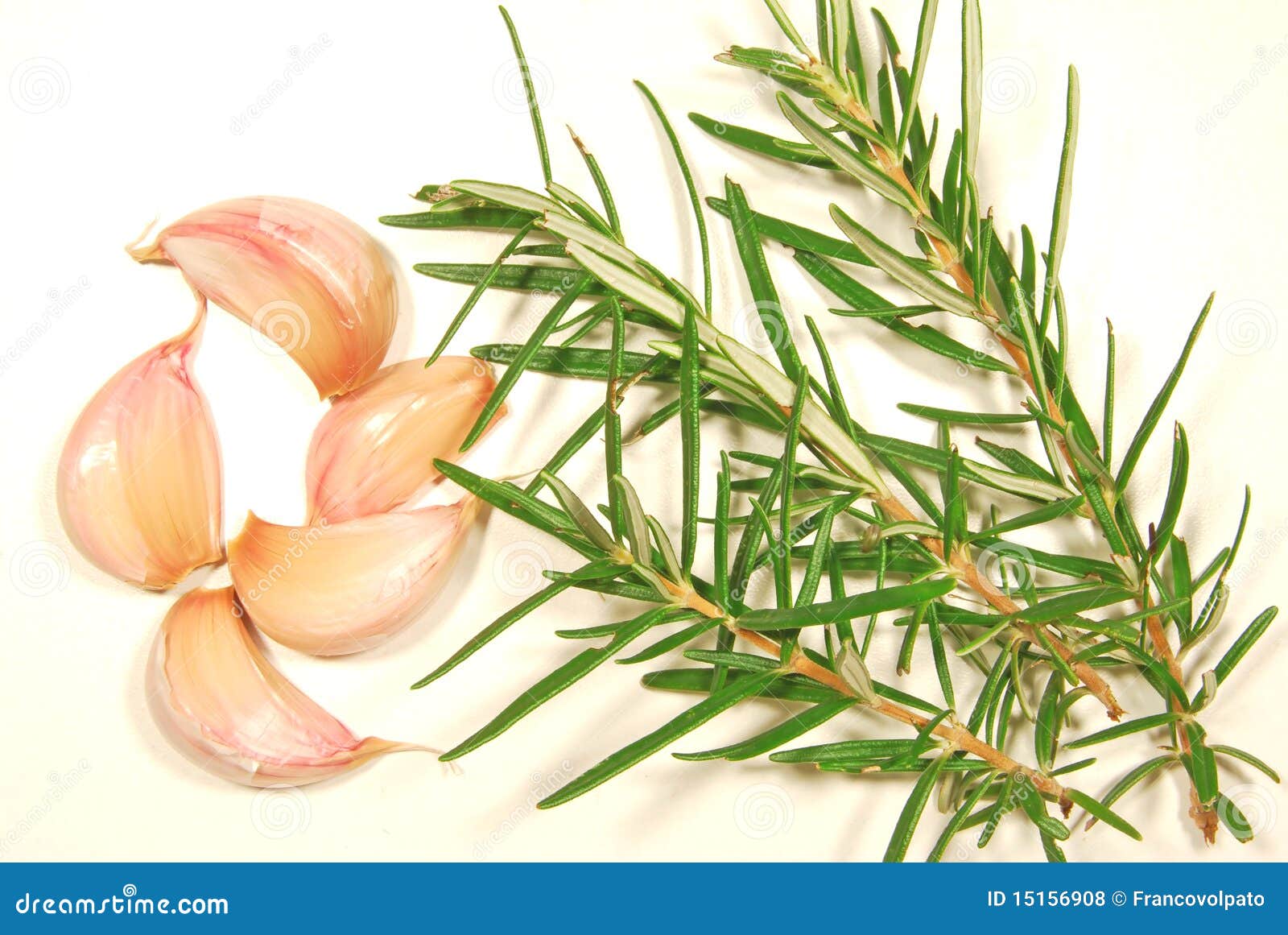 Garlic and Rosemary stock photo. Image of cooking, kitchen 15156908