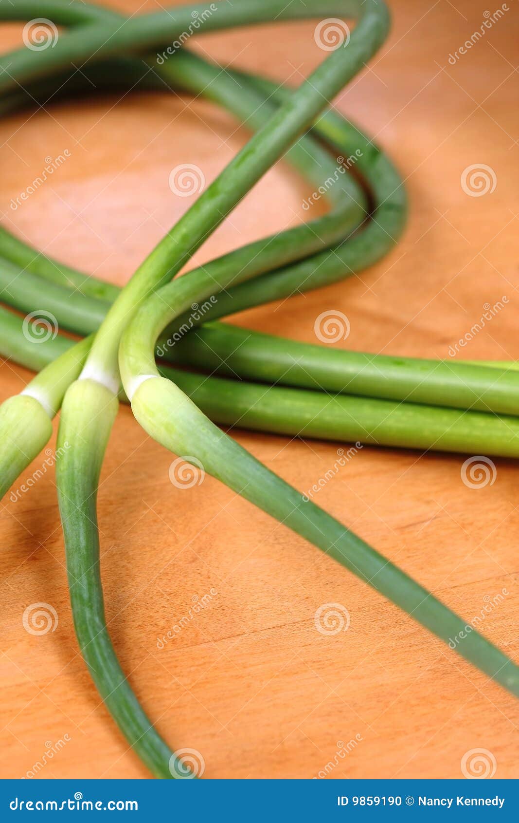 Garlic Scapes stock photo. Image of stem, garlic, fresh 9859190